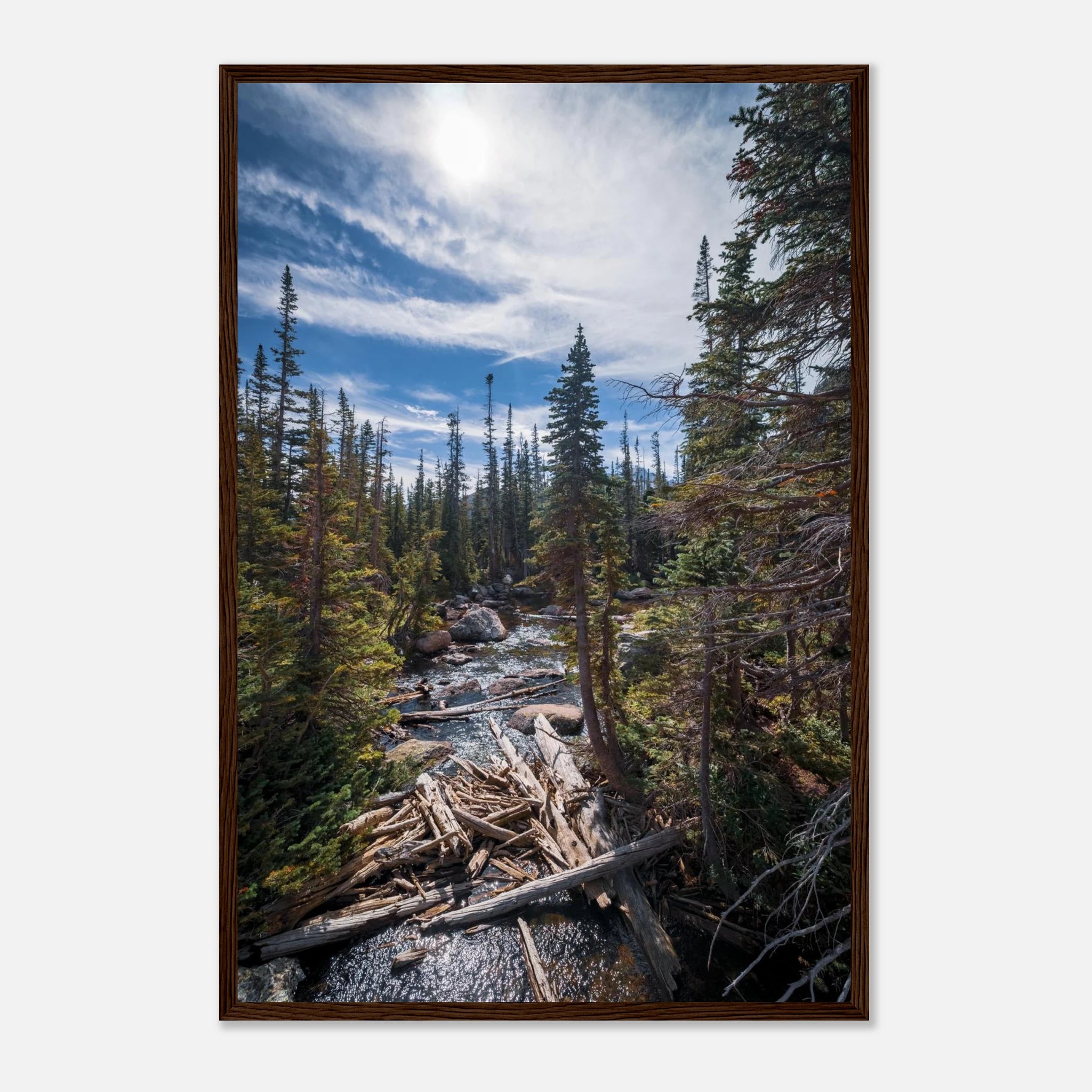 bdcfa78a-ae38-4fb5-bdaa-eb39662878b2