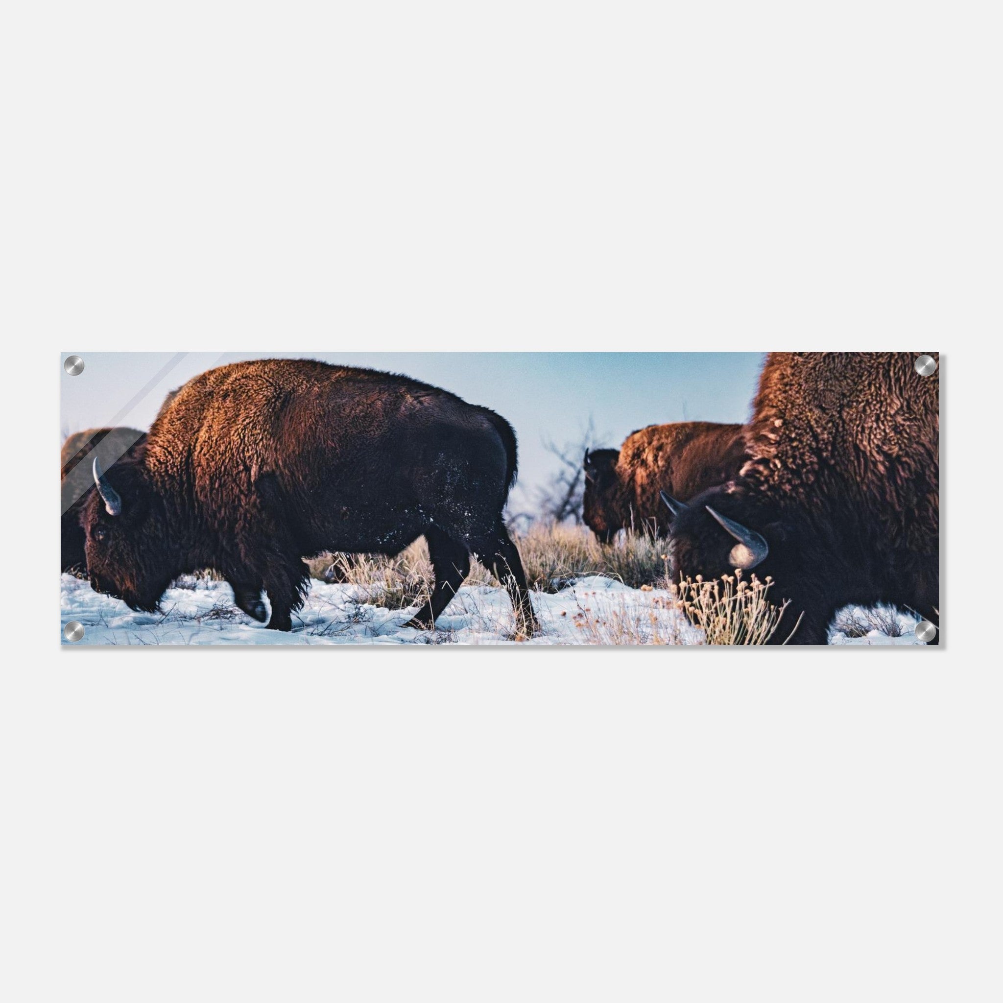 bdd63a1d-75b6-4e18-a5bb-2d42d20e3237