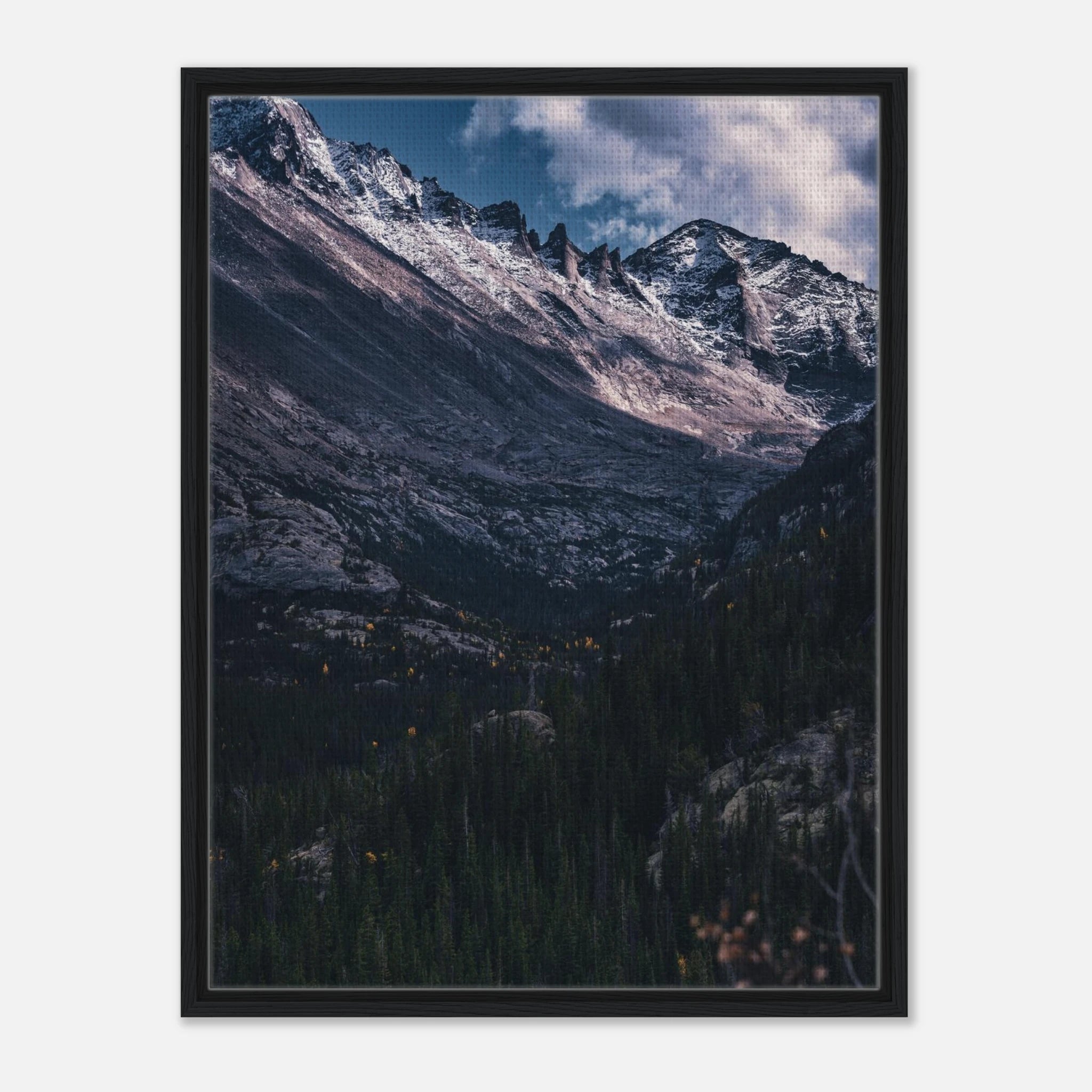 be49224a-6cd8-4310-8ad3-ff8c674eed48