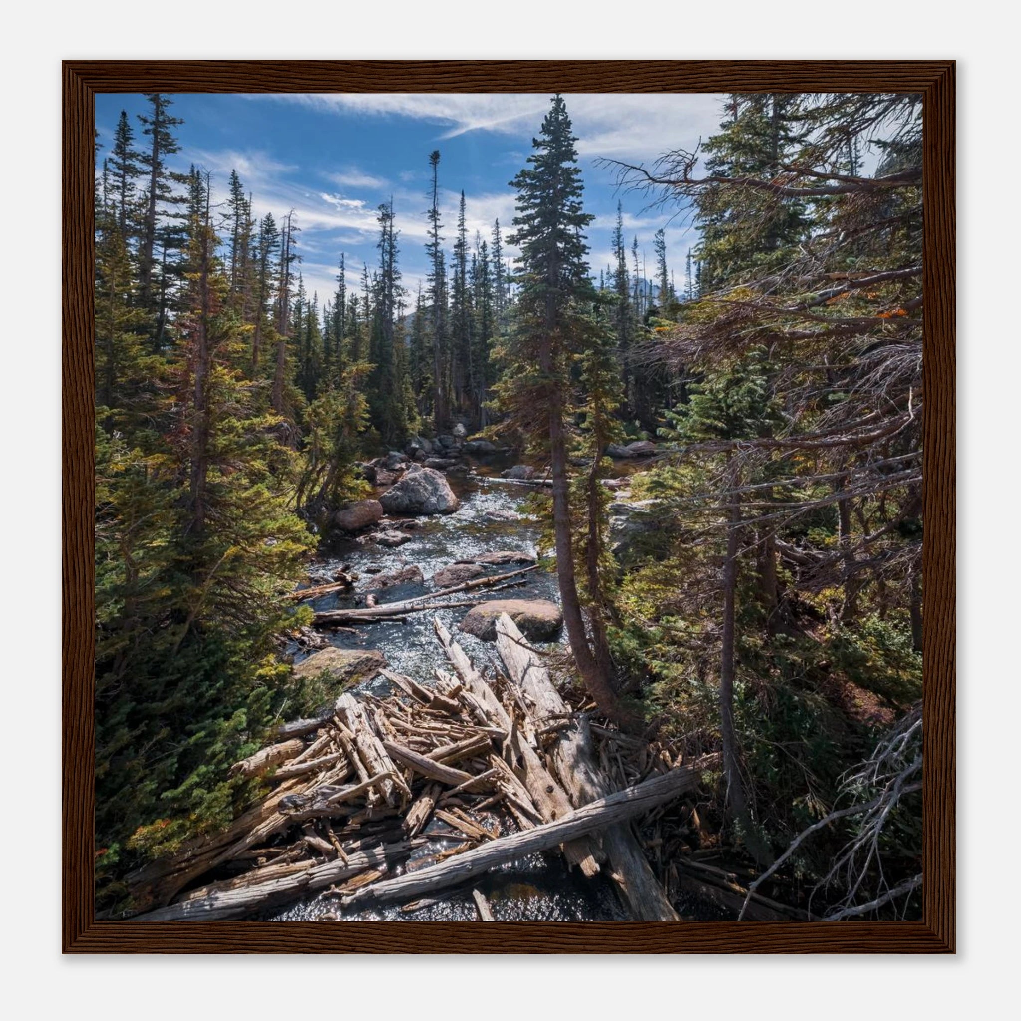 bf953e67-2e9b-4fb0-b998-398ef1b5a318