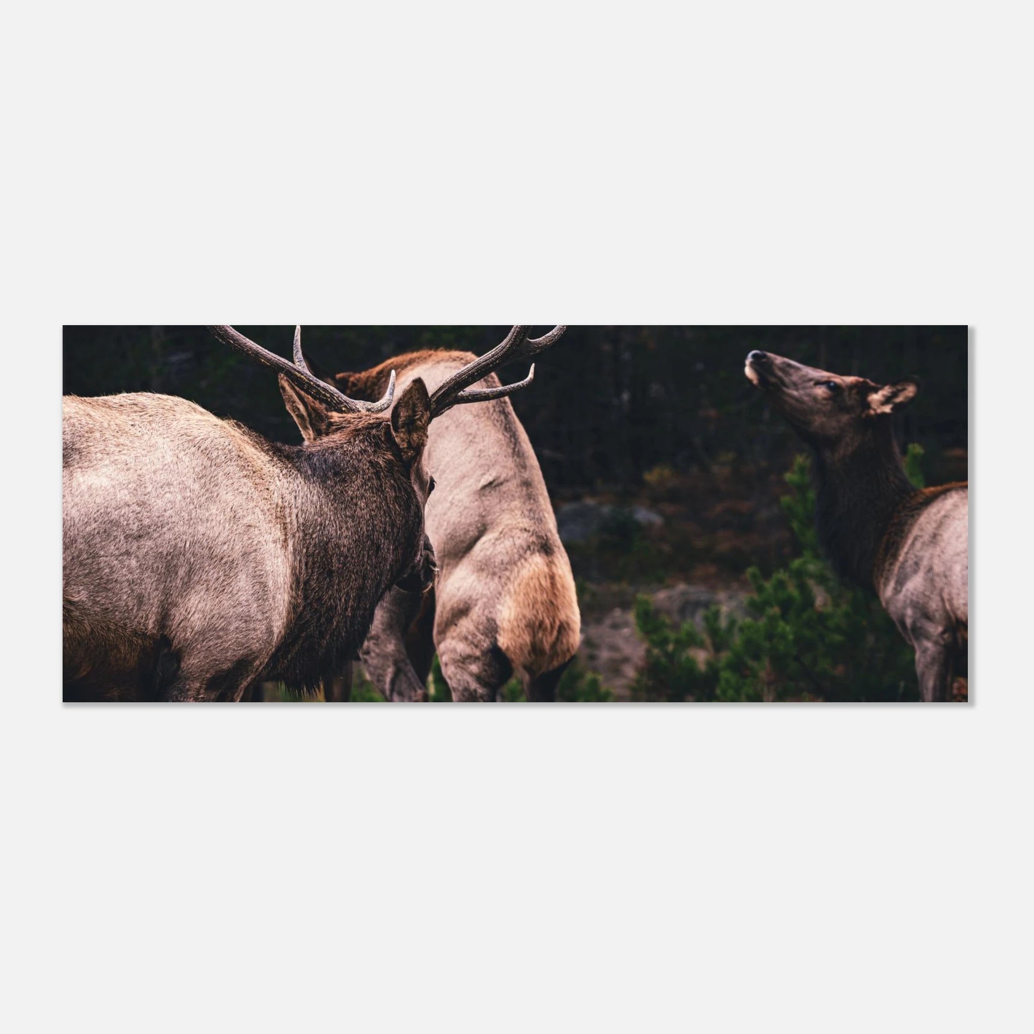 c0a1a9c9-2523-4fda-b333-926569f390b1