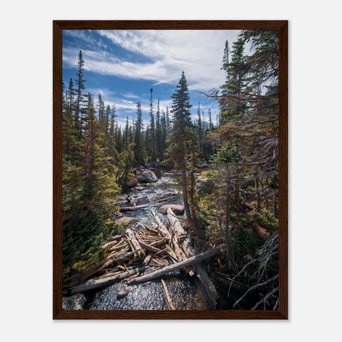 c353cfbe-eed1-41bb-a96d-a9b4fbb0efee