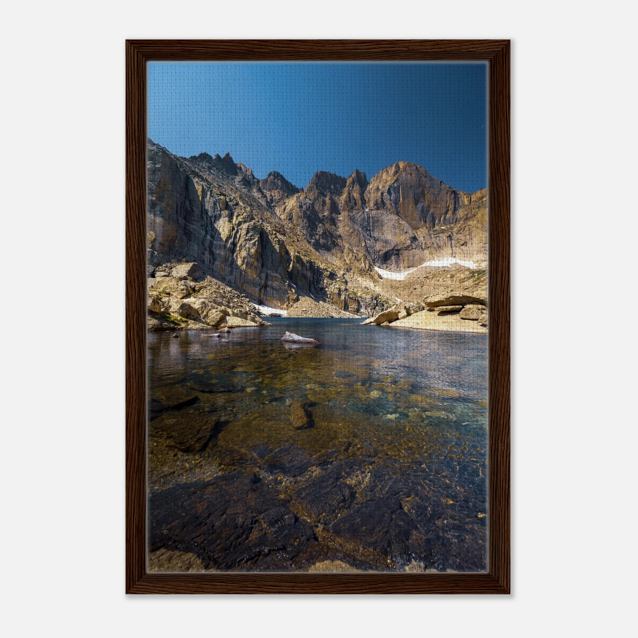 c3b16dad-1c18-4f5c-a4da-fe0f71a07ac2