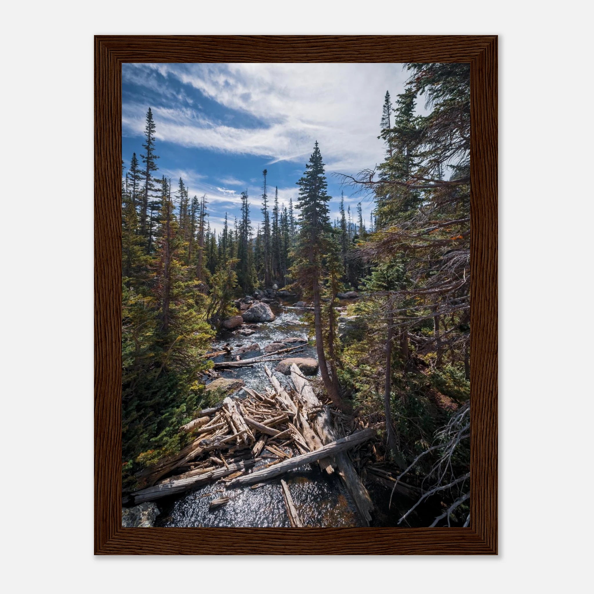 c3c15f56-65bc-4852-a8ca-c763fa0c72b3