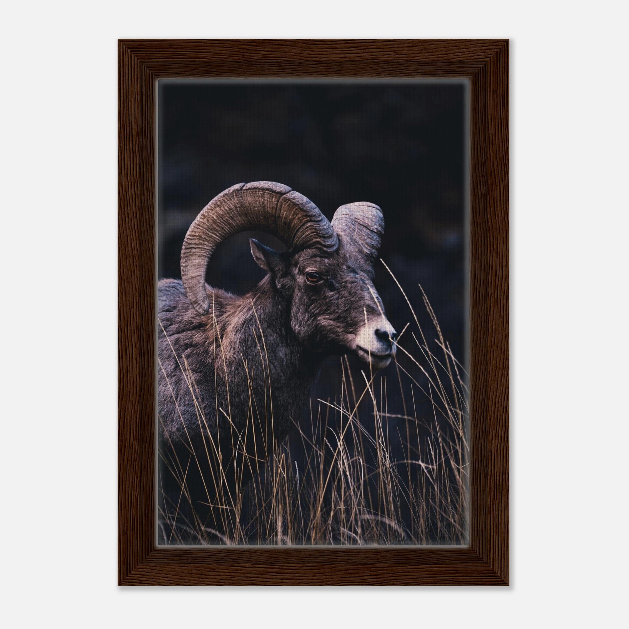 c3d88493-2b92-4b2b-b116-0b801367e68d