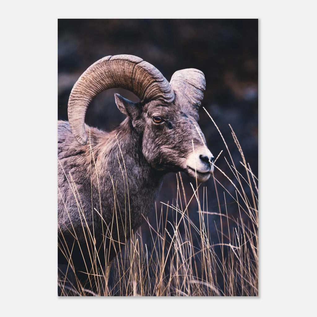 c3de46c2-d19e-497d-80bf-484d0d19dfee