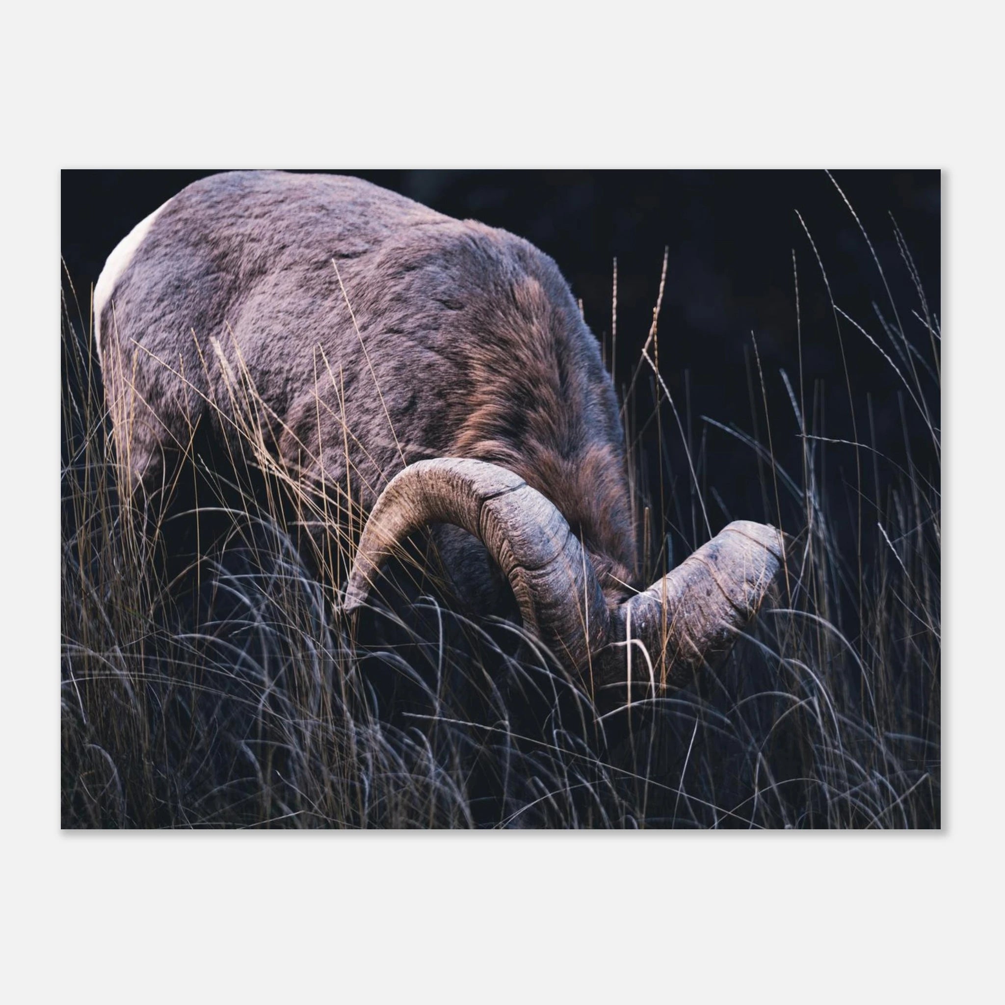 c40ce85a-4645-444e-9668-11c95dbbaa0c