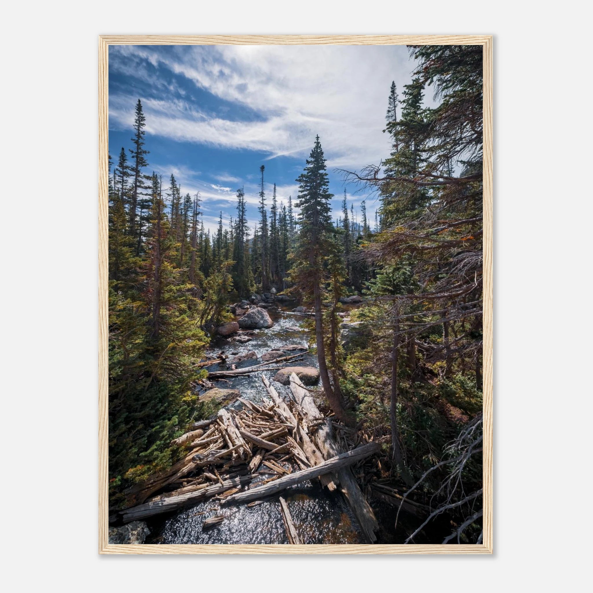 c591af0e-356d-4c07-ba24-3f1995f3b4c2