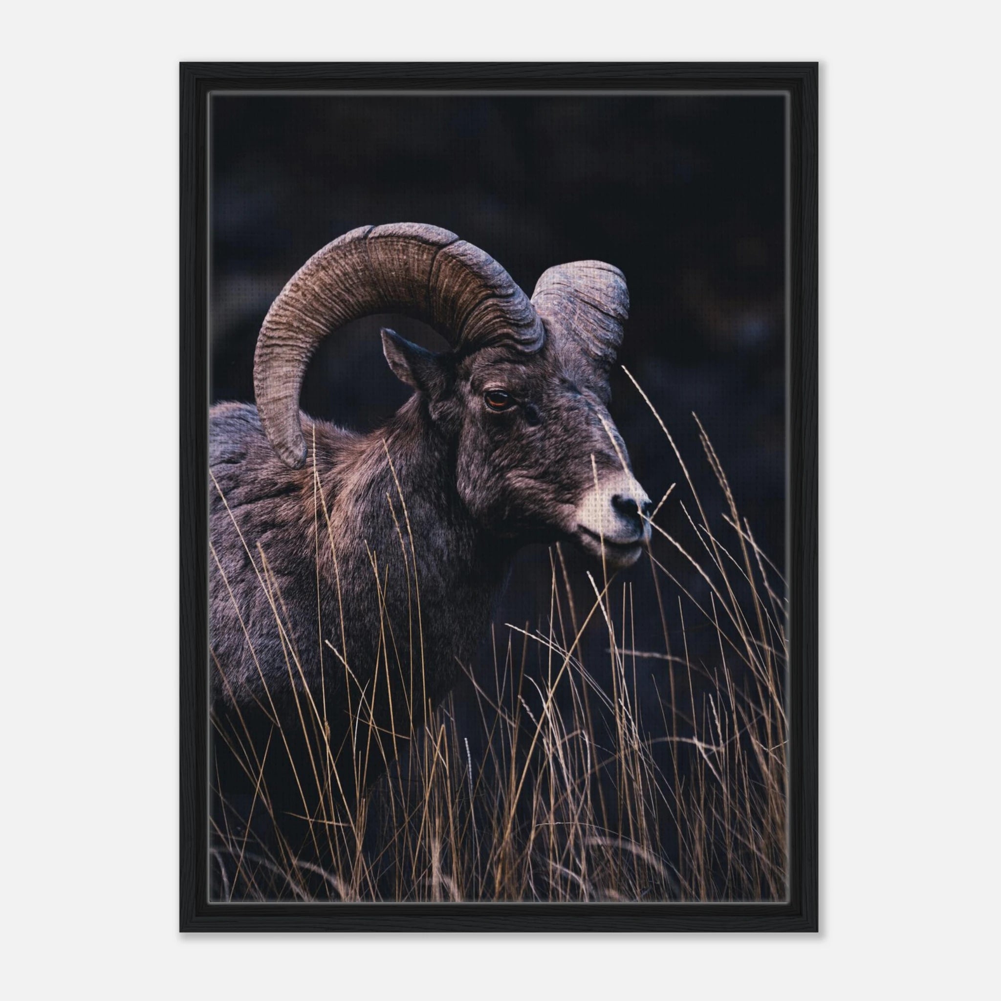 c63168f5-5bfe-47cb-9fd8-61d5110dc883