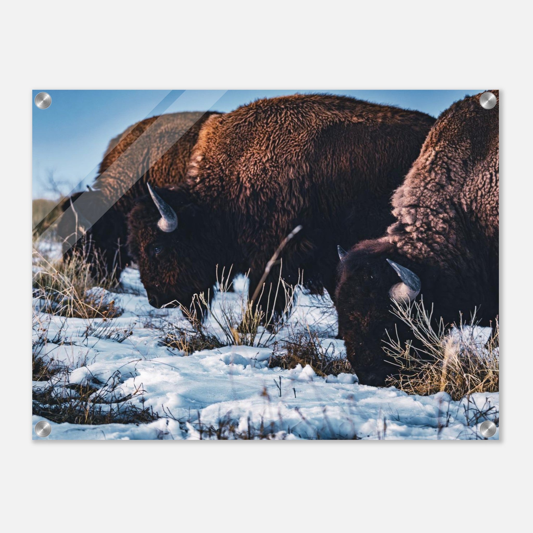 c70516e4-0d8f-46b1-bd57-c7e1a82cf453