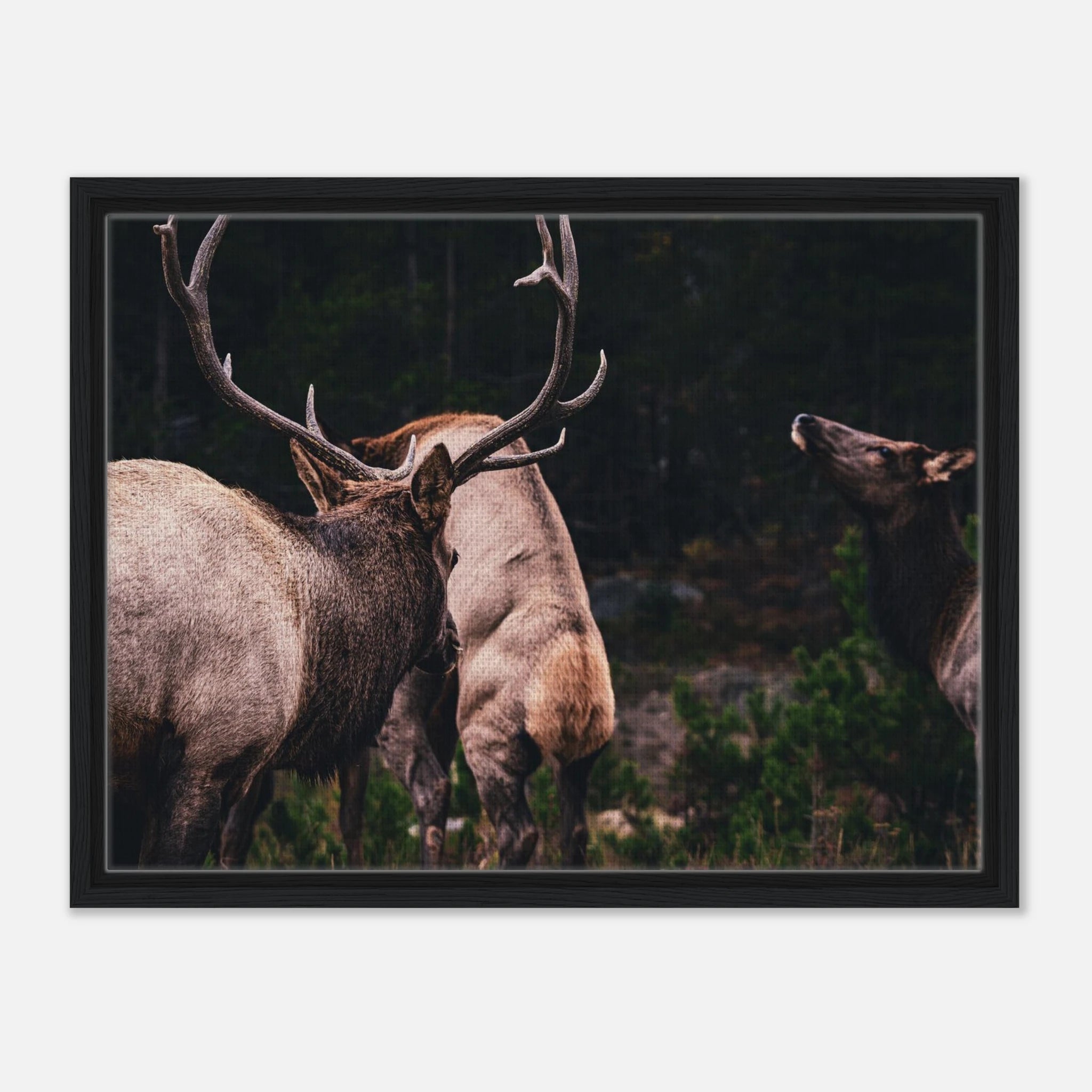 c7d32141-ed07-4c0f-95fa-ccbb6abe1abd