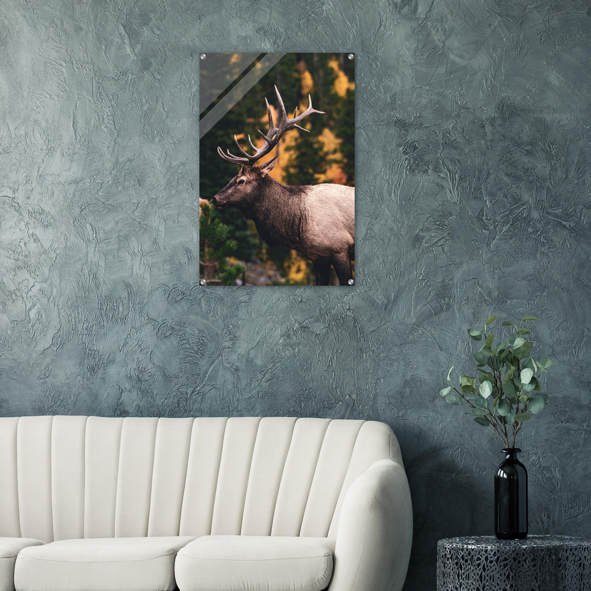 c958e4d9-ca2c-4ec3-a922-c4ace723e5b7