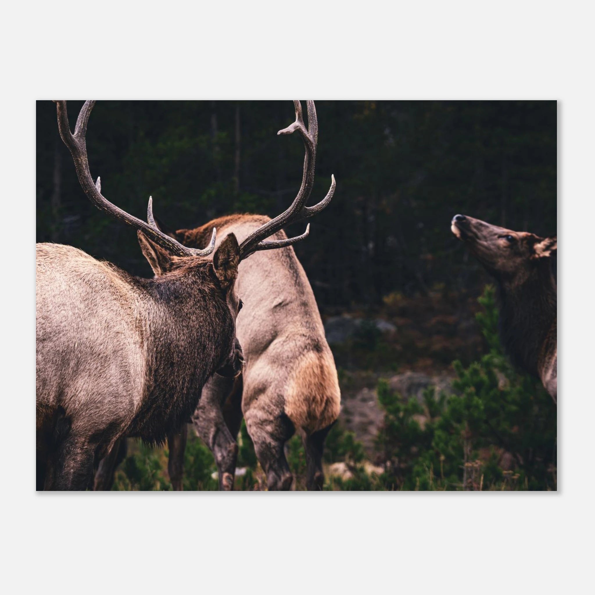 c963270a-ca79-4b43-a08a-f46552ac5c63