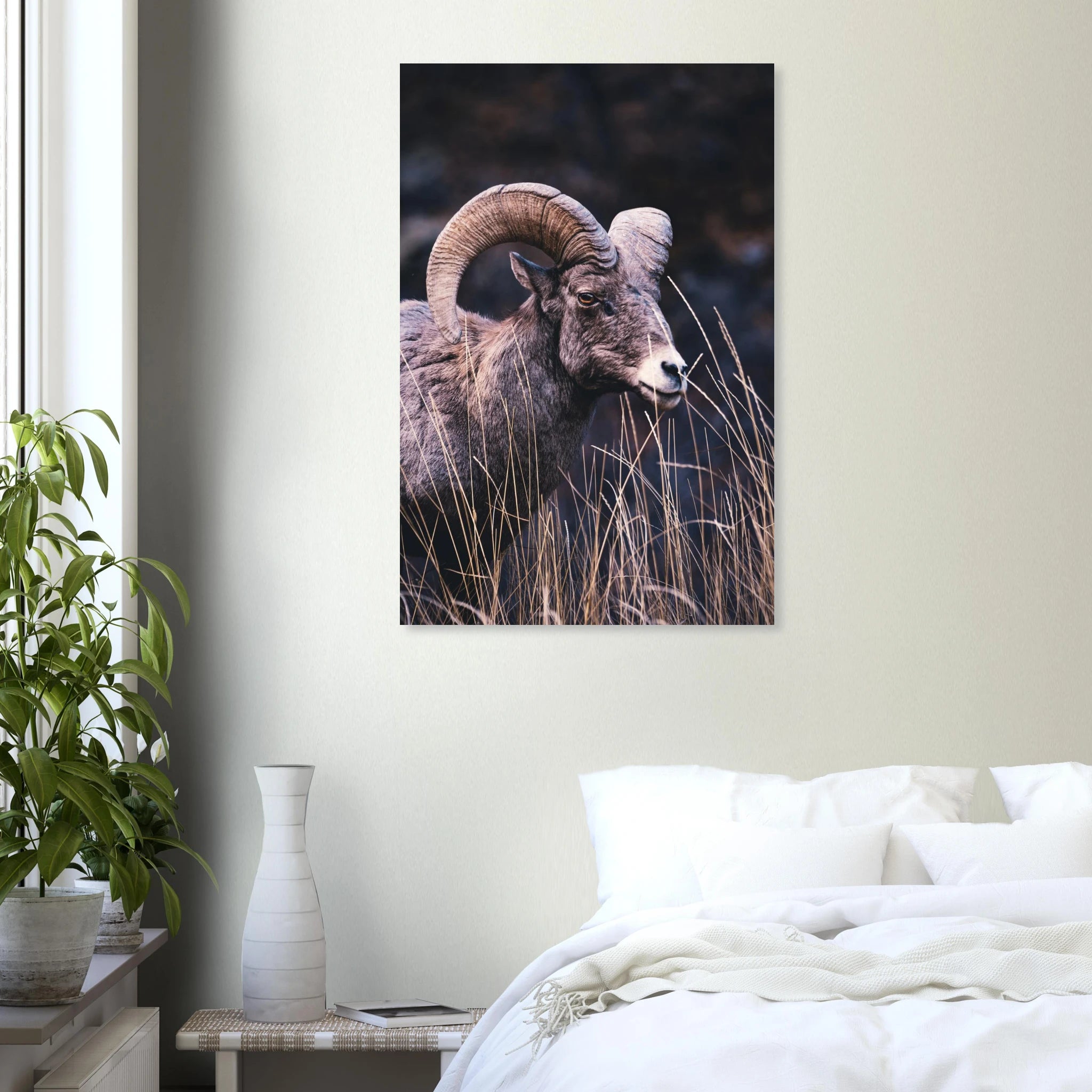 ca390b99-71ca-4833-aac1-bf04764623d3