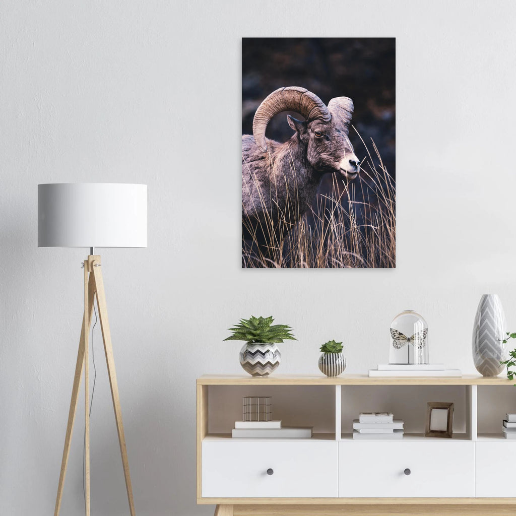 cb2f15ee-5af0-4436-a208-1760e817805c