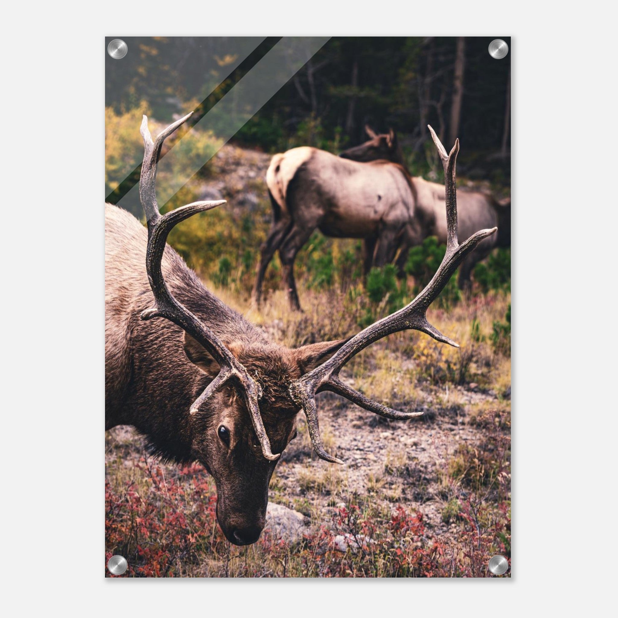 cc38091b-28fe-43ce-8dab-b26aa193eadd