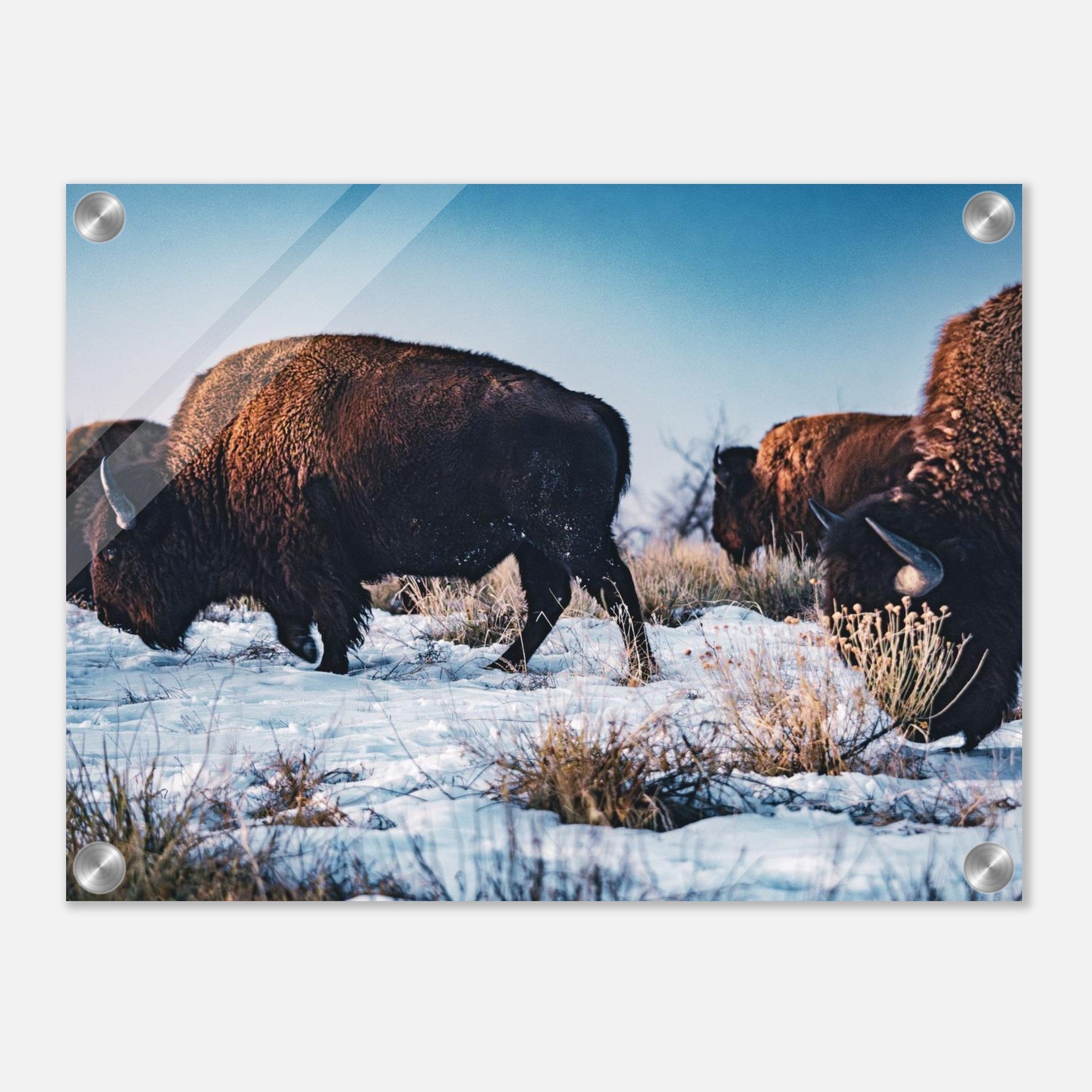 cc3b94a0-3171-44bc-91b0-7e9125716daf