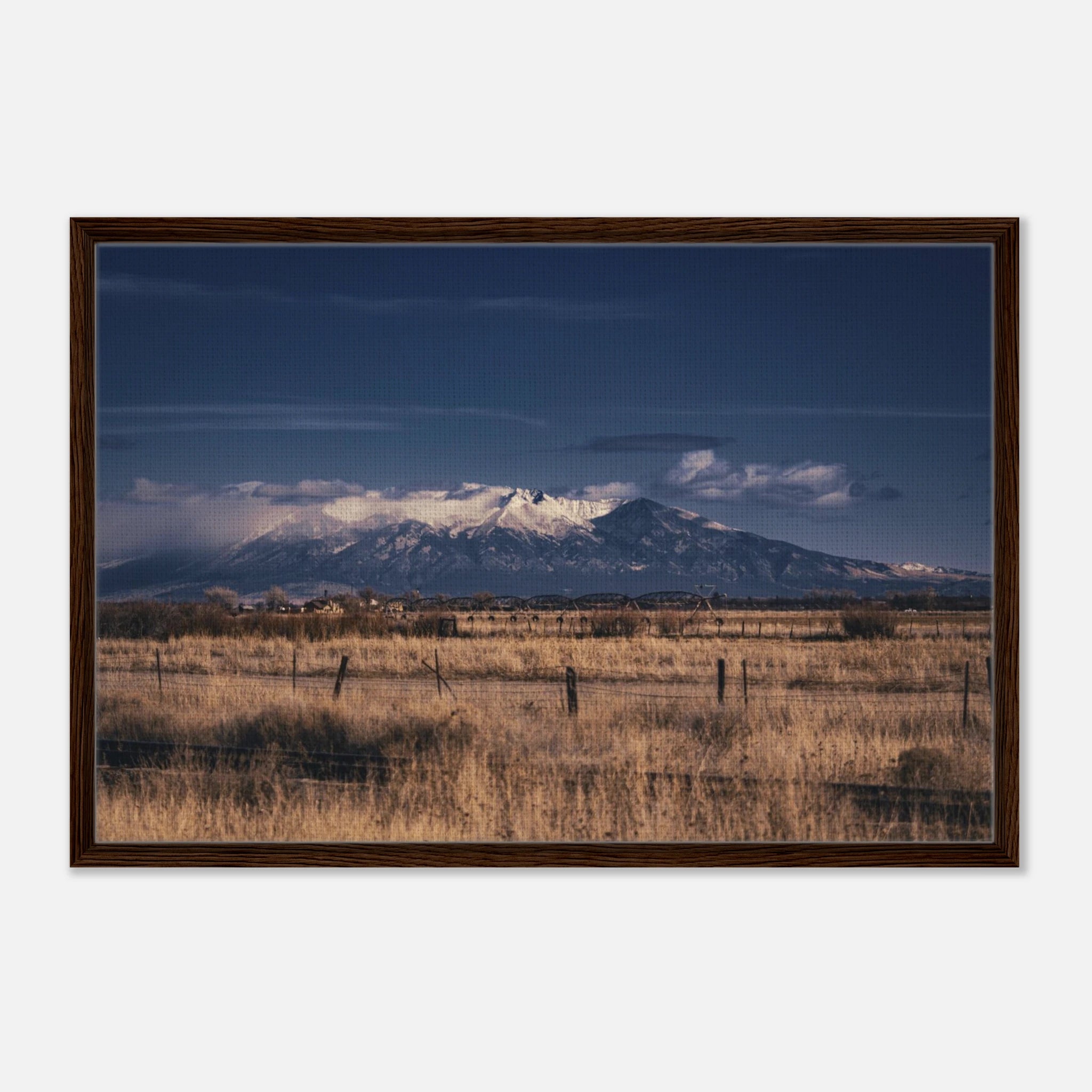 ccea8595-c307-49bf-b406-81a9ed7406c6