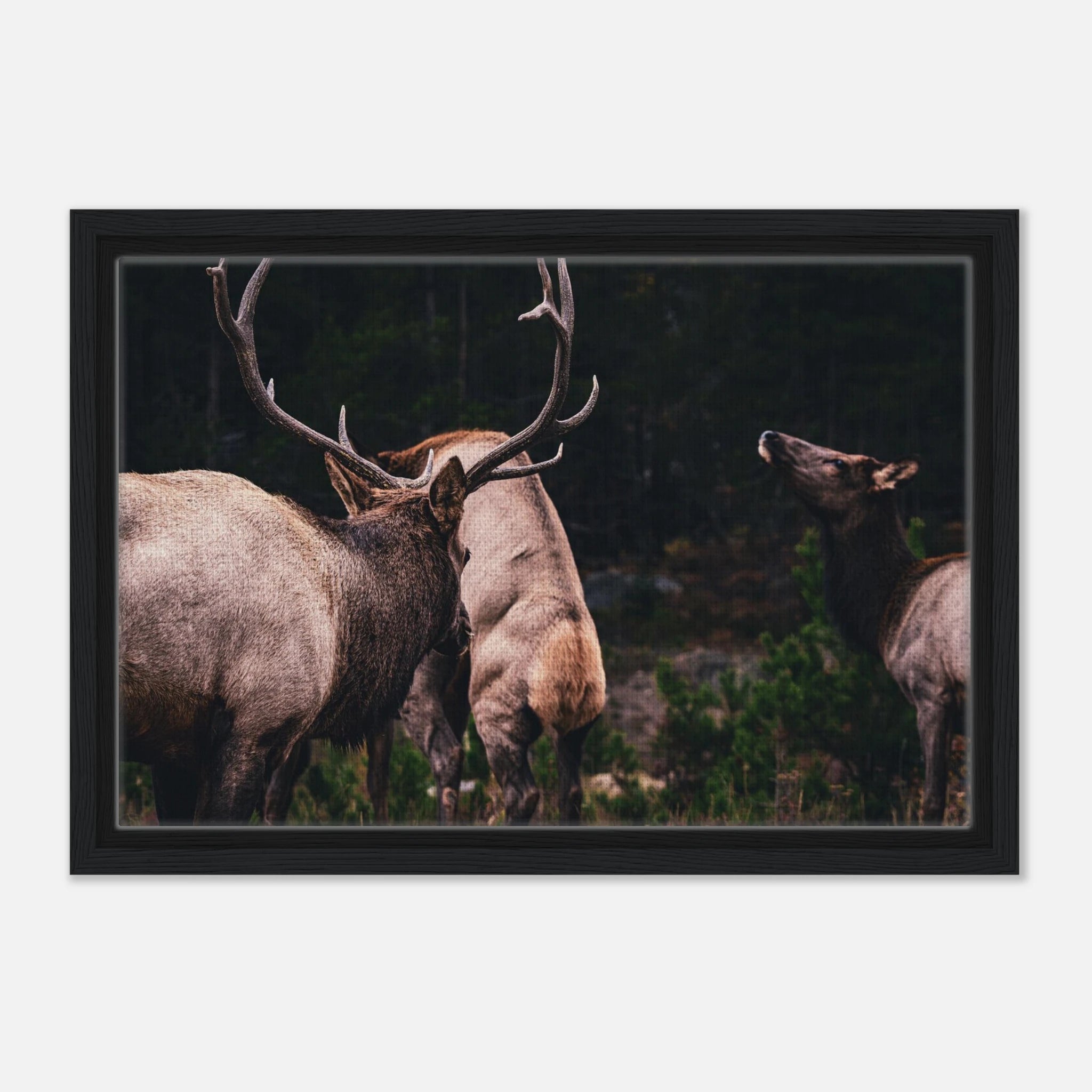 ccf9440b-34f6-49e3-b386-fe5ae20127d0