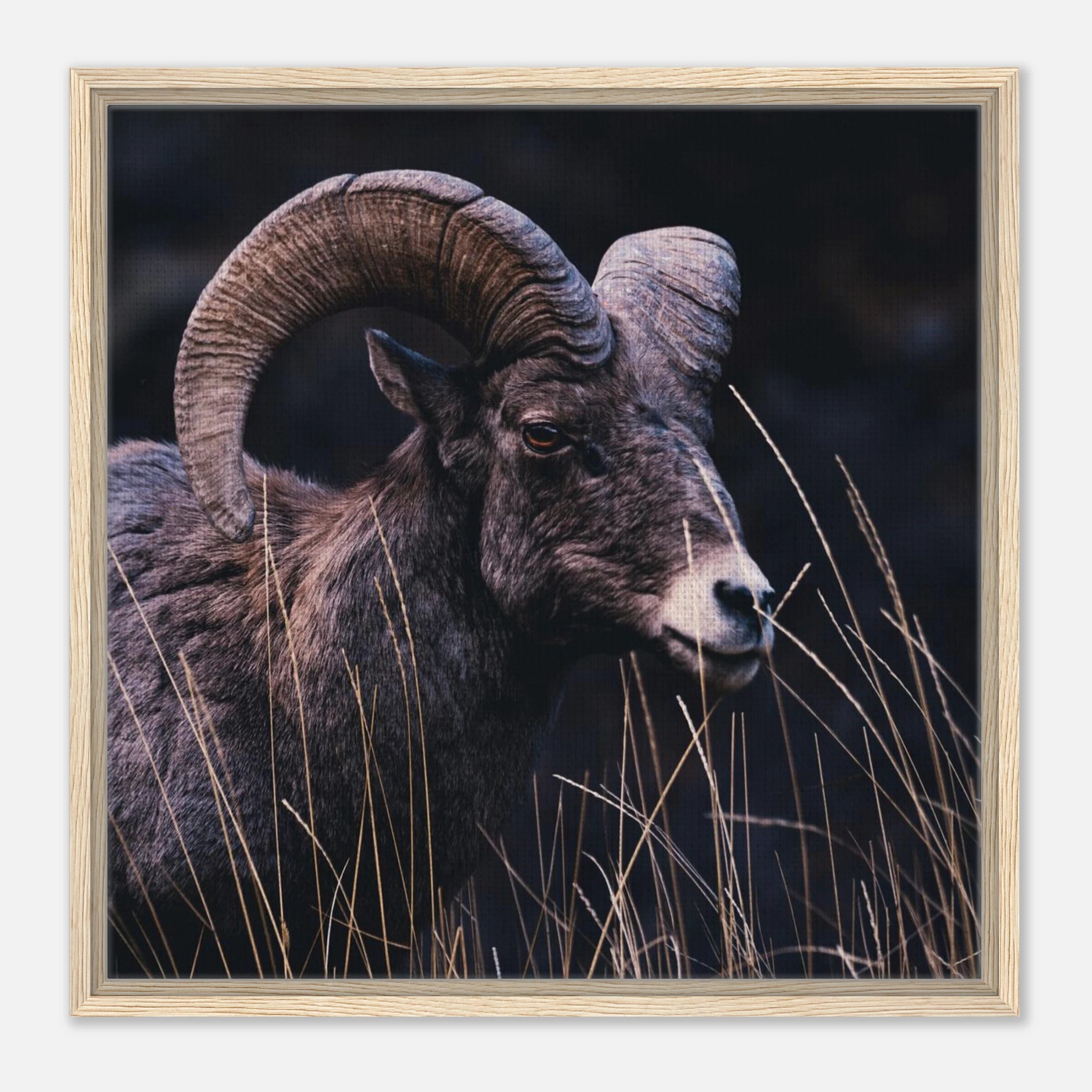 cd287799-fbec-4e38-bdcf-a60402905df9