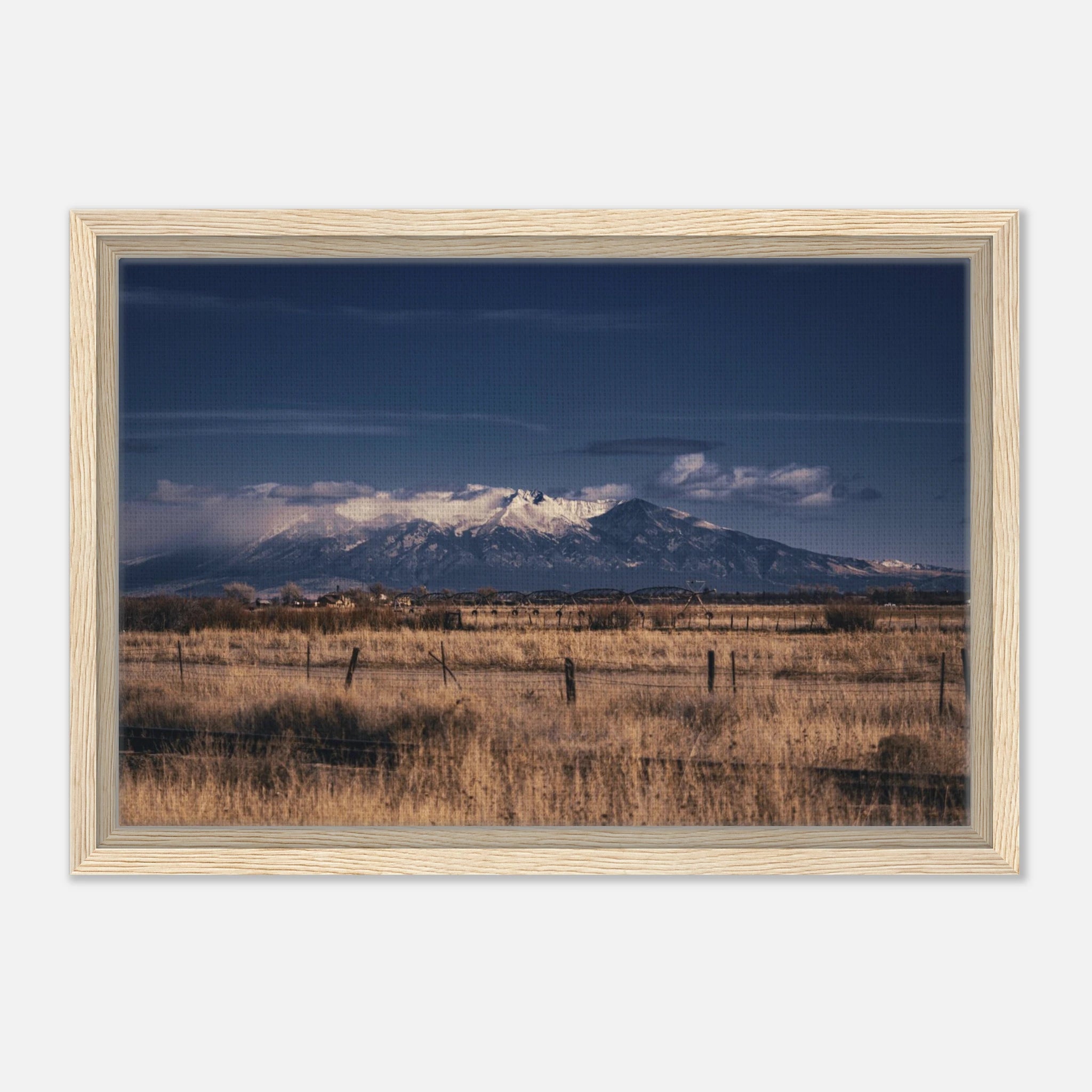 cd858a18-a5ad-4026-b542-d4ccff86782c