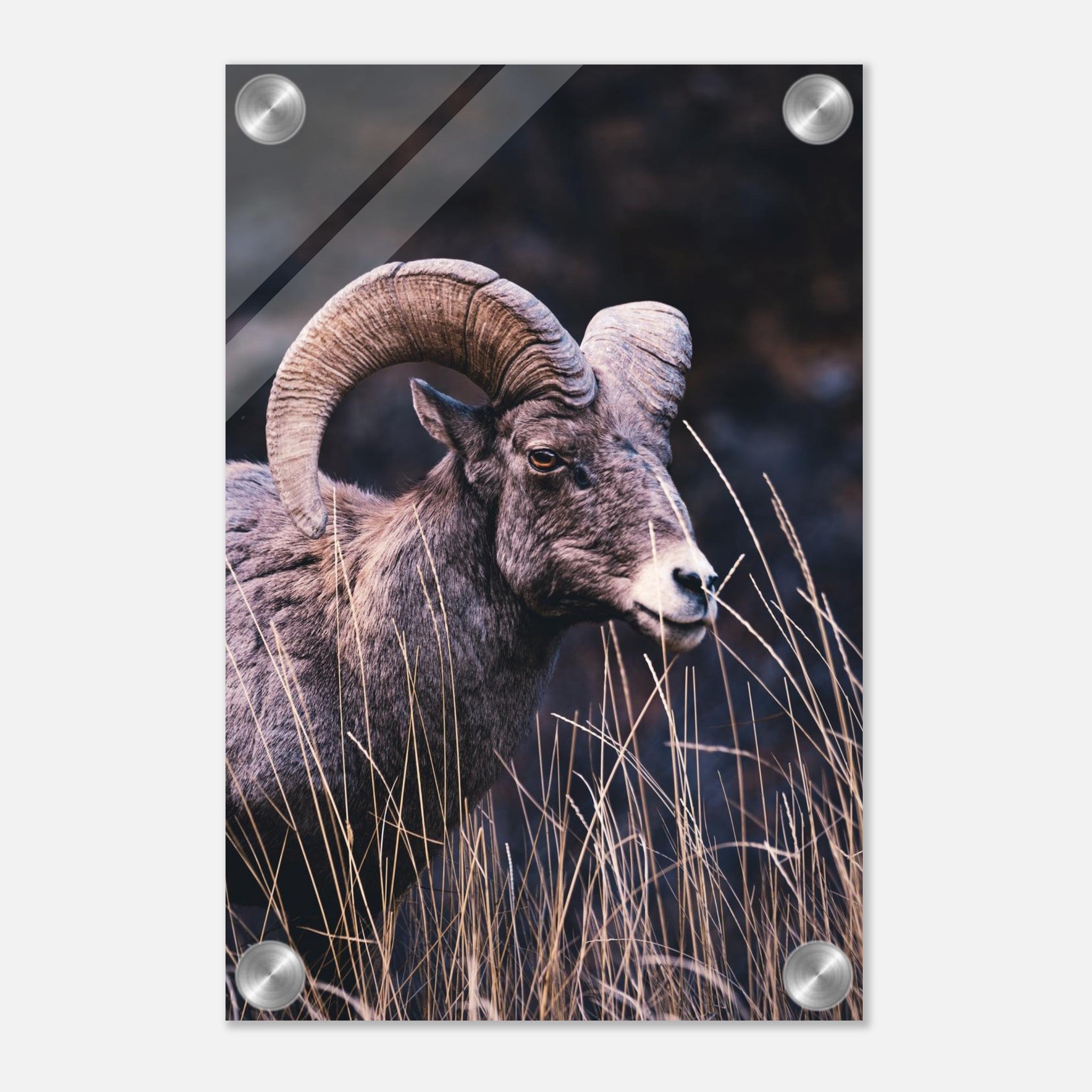 cdd2bf9e-8a8f-4345-9139-c3f845743ed8