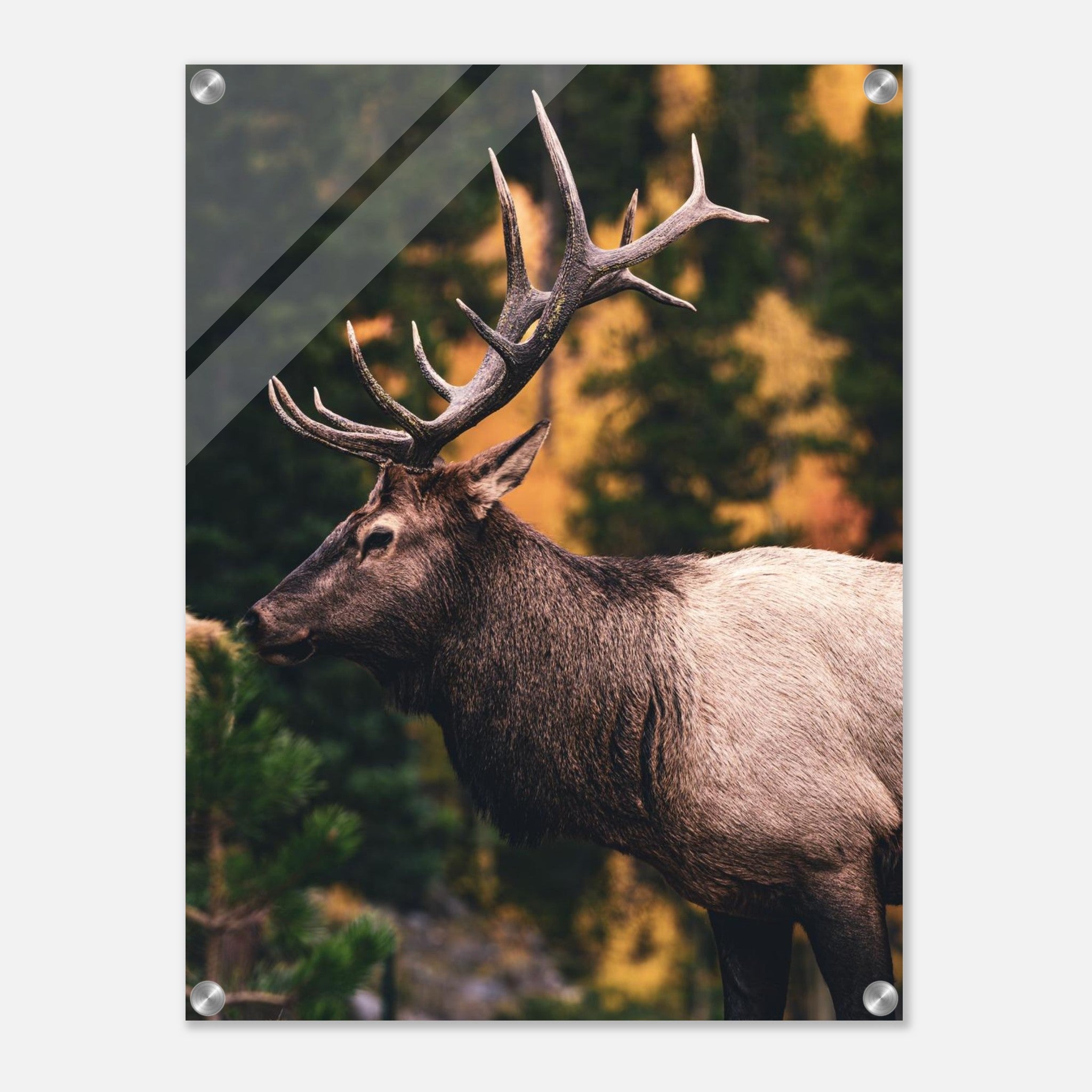 cde3bd08-5d12-4e02-b22e-9cc94ba726bf