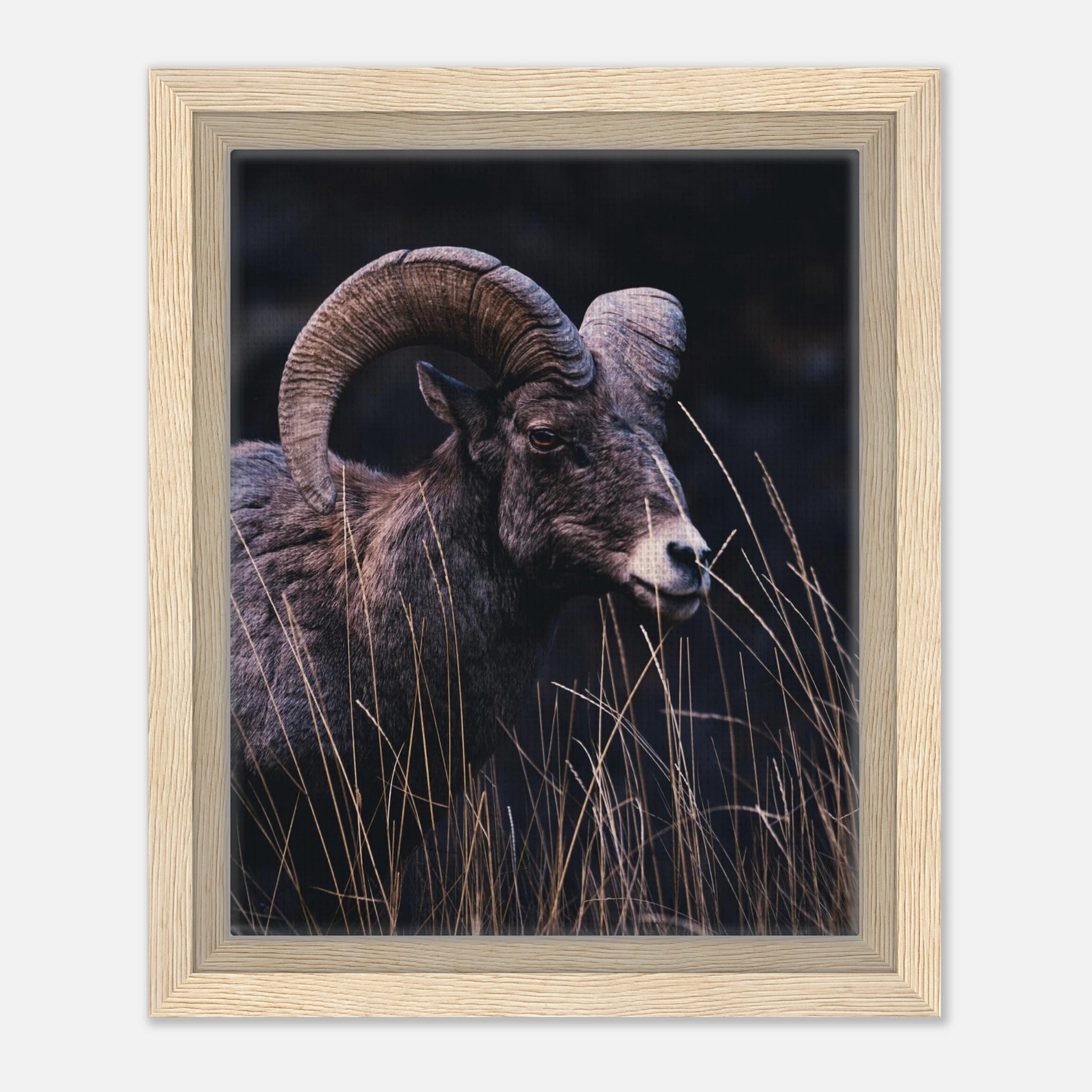 ce3f0174-d2d1-408d-a76b-4e4101a236f0