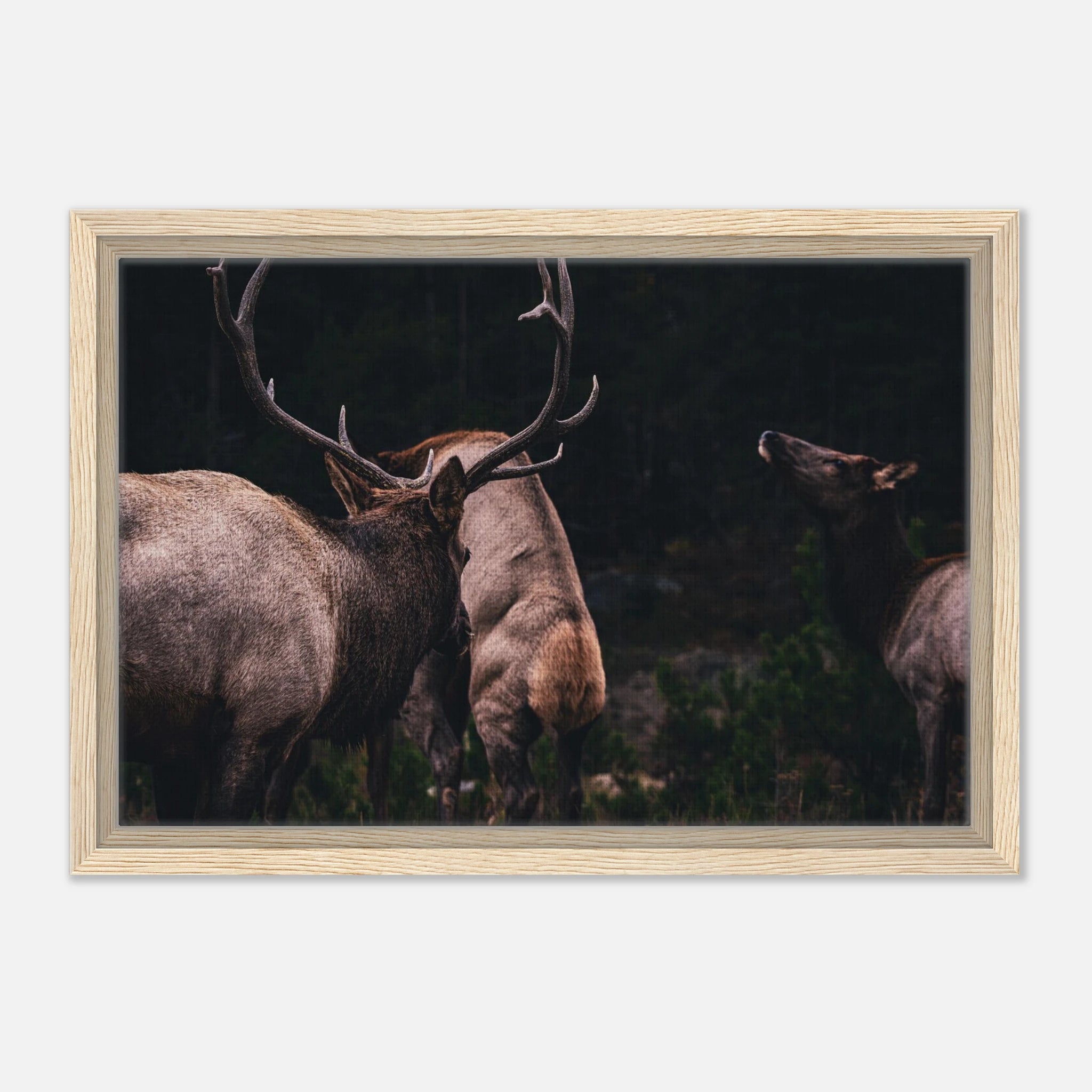 cea96c72-a8e9-448c-b624-b4b7a20c0618