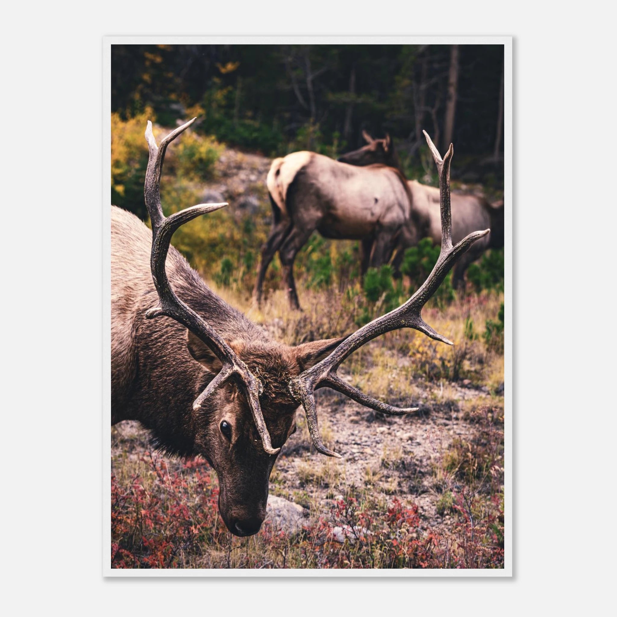 cf041ba2-42ba-4a24-9a4b-f8726aa797c0