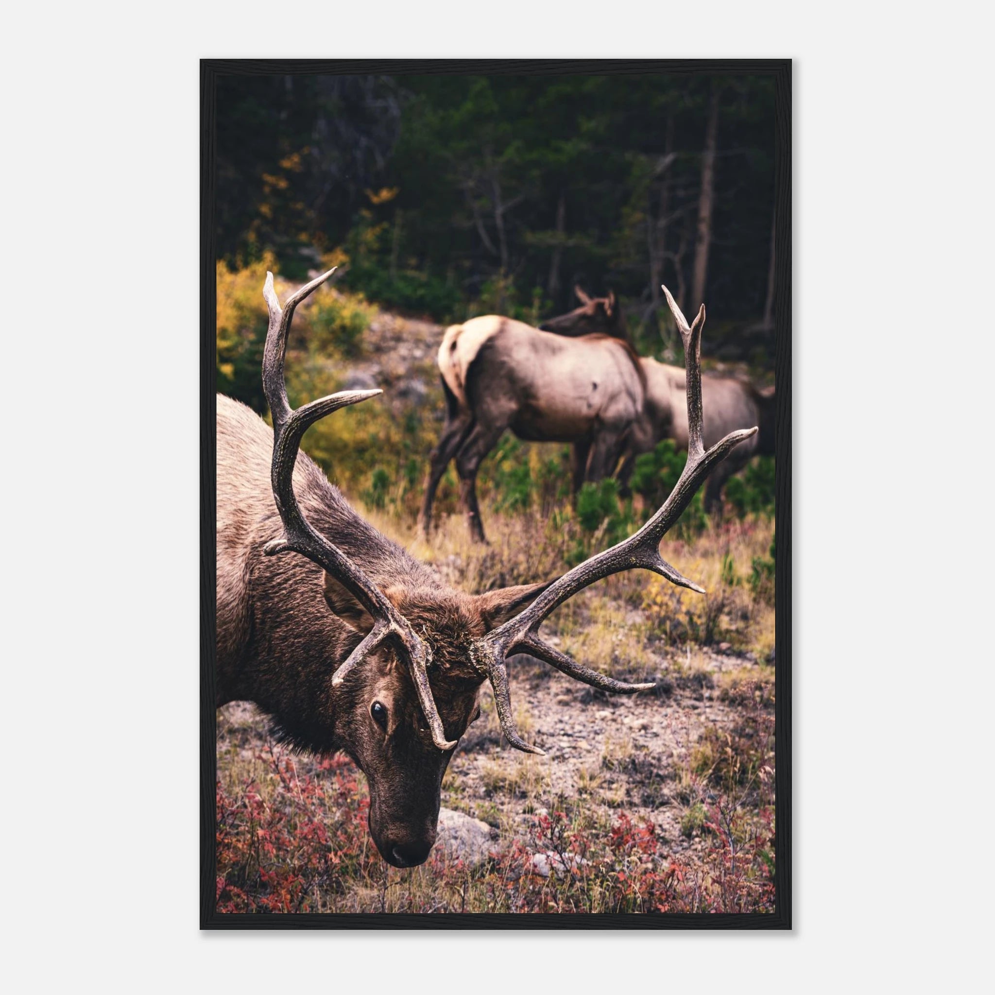 cf24ecdd-bf36-4e17-afc3-6d3a36b59088