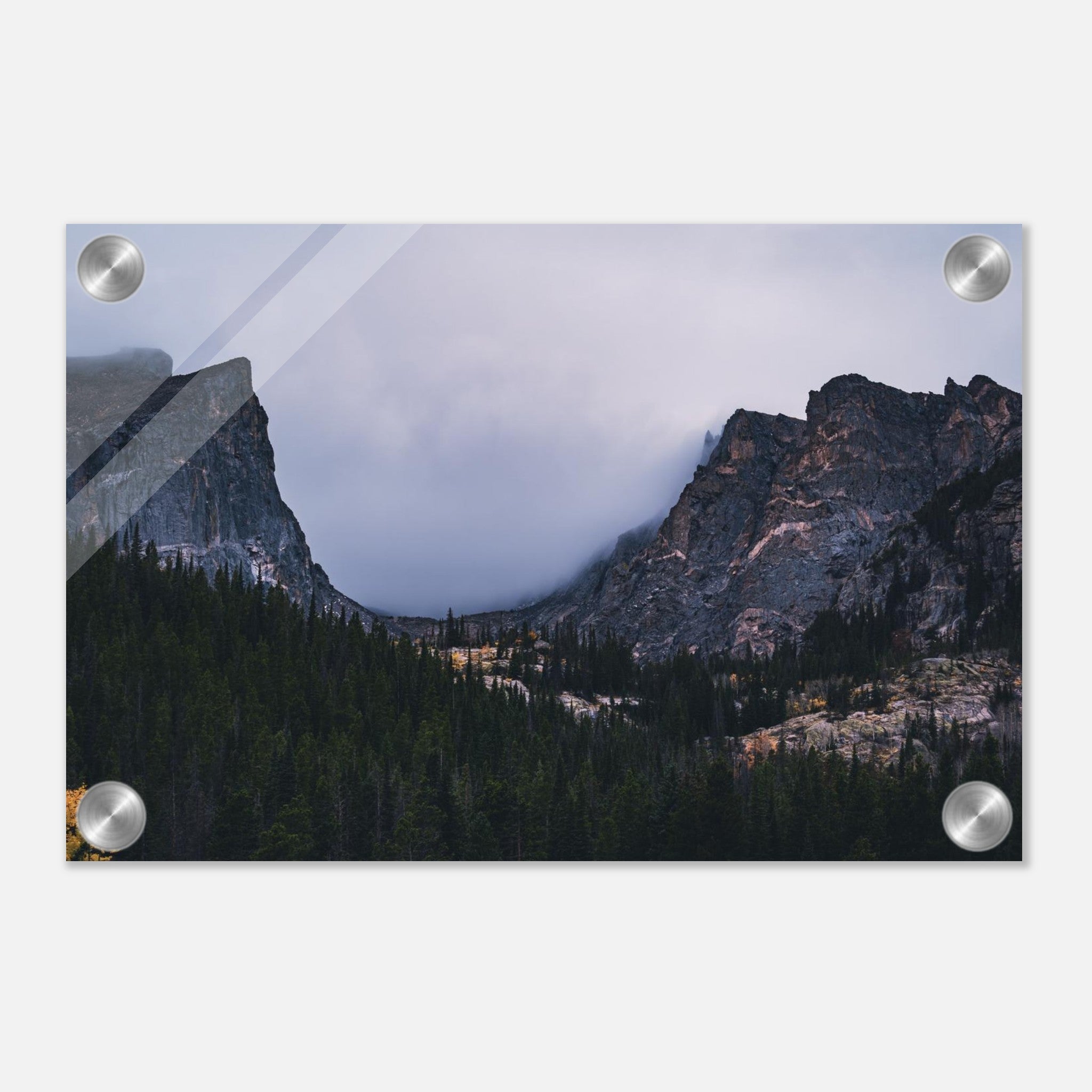 cf954bf6-82ad-4ea5-91c8-0ae499393e47