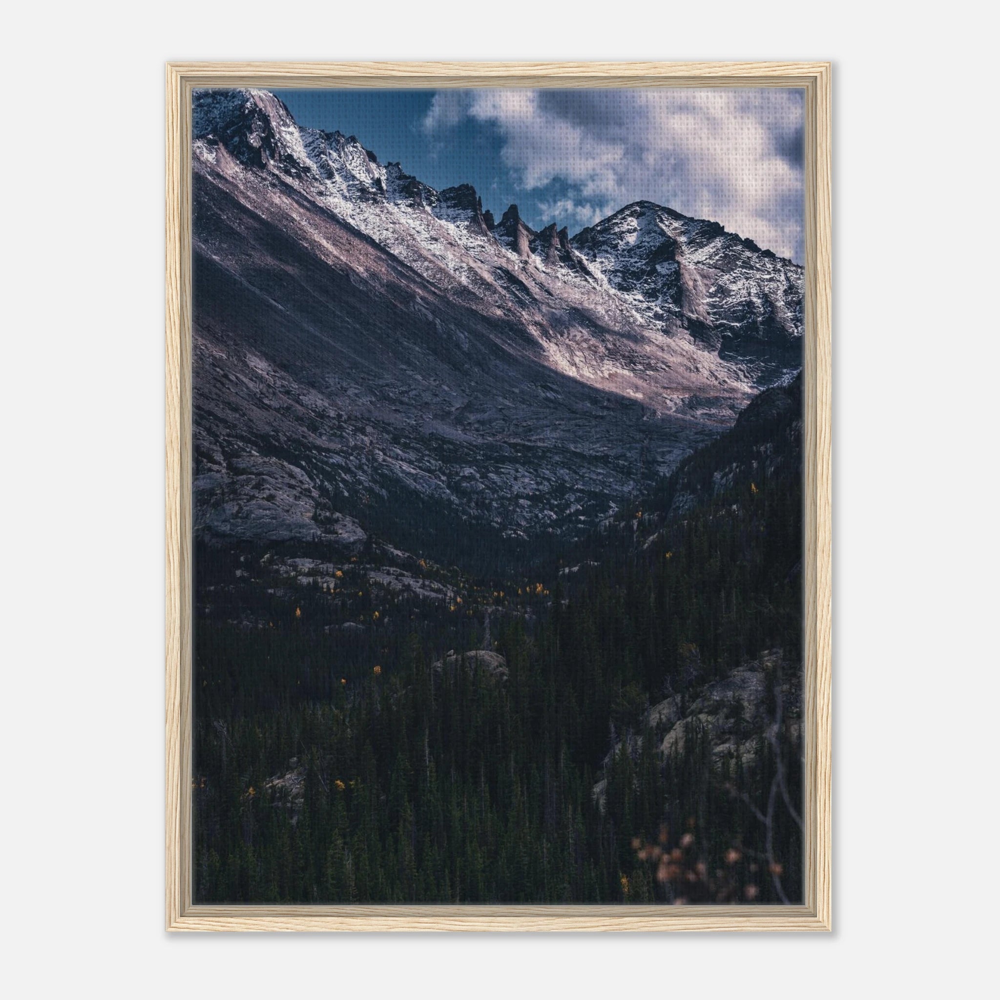 cfc7200f-48b9-4184-a772-03cfb5a25dd1