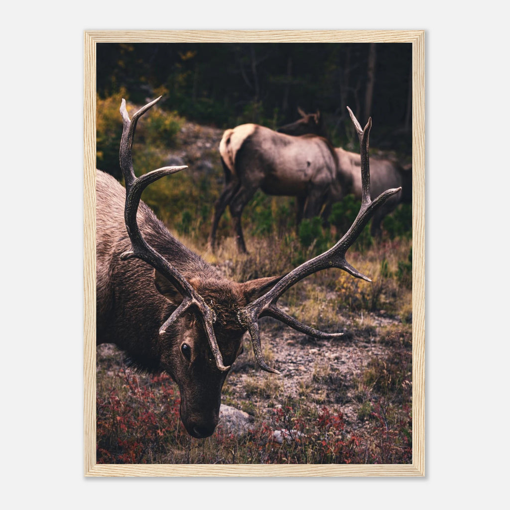 d11f88d1-211b-4d62-9a51-3954fd033219