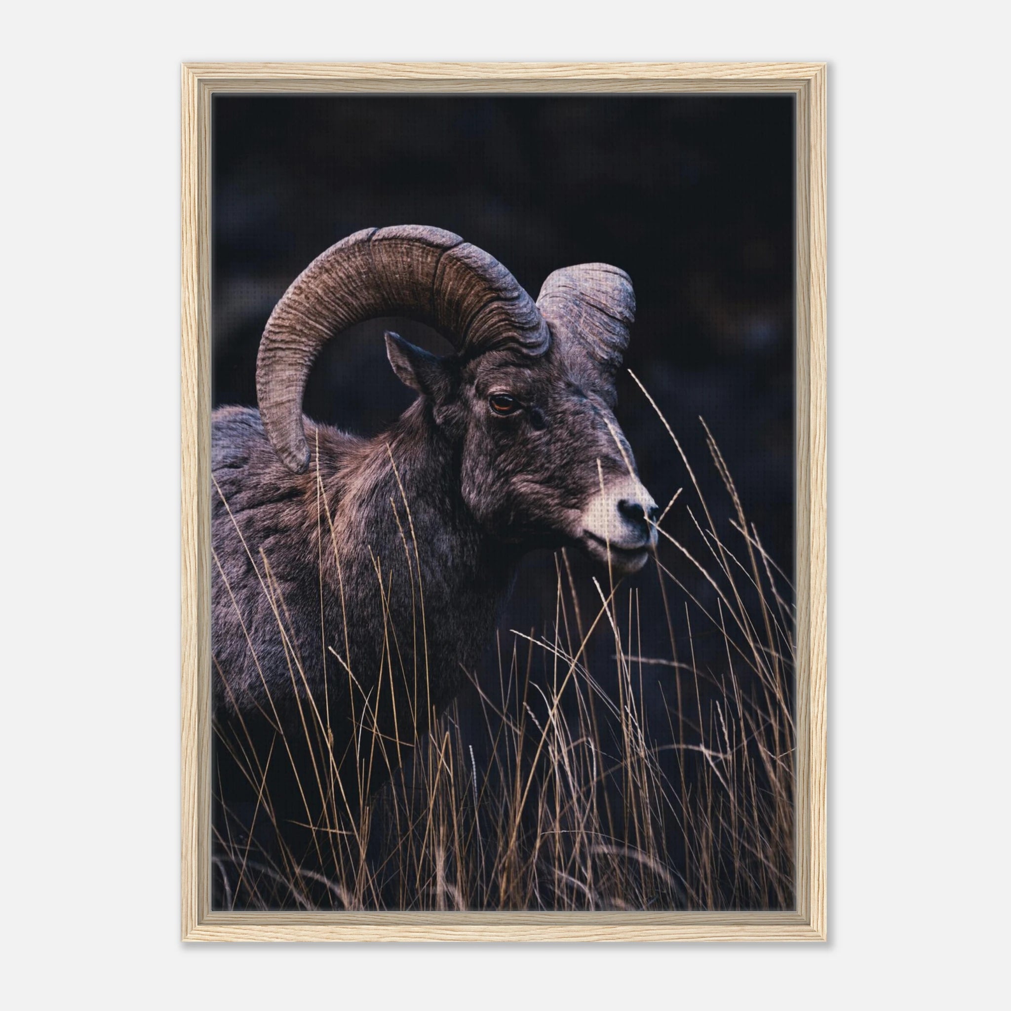 d1def5a7-c9ce-423a-baec-0fefcaf5b0d9