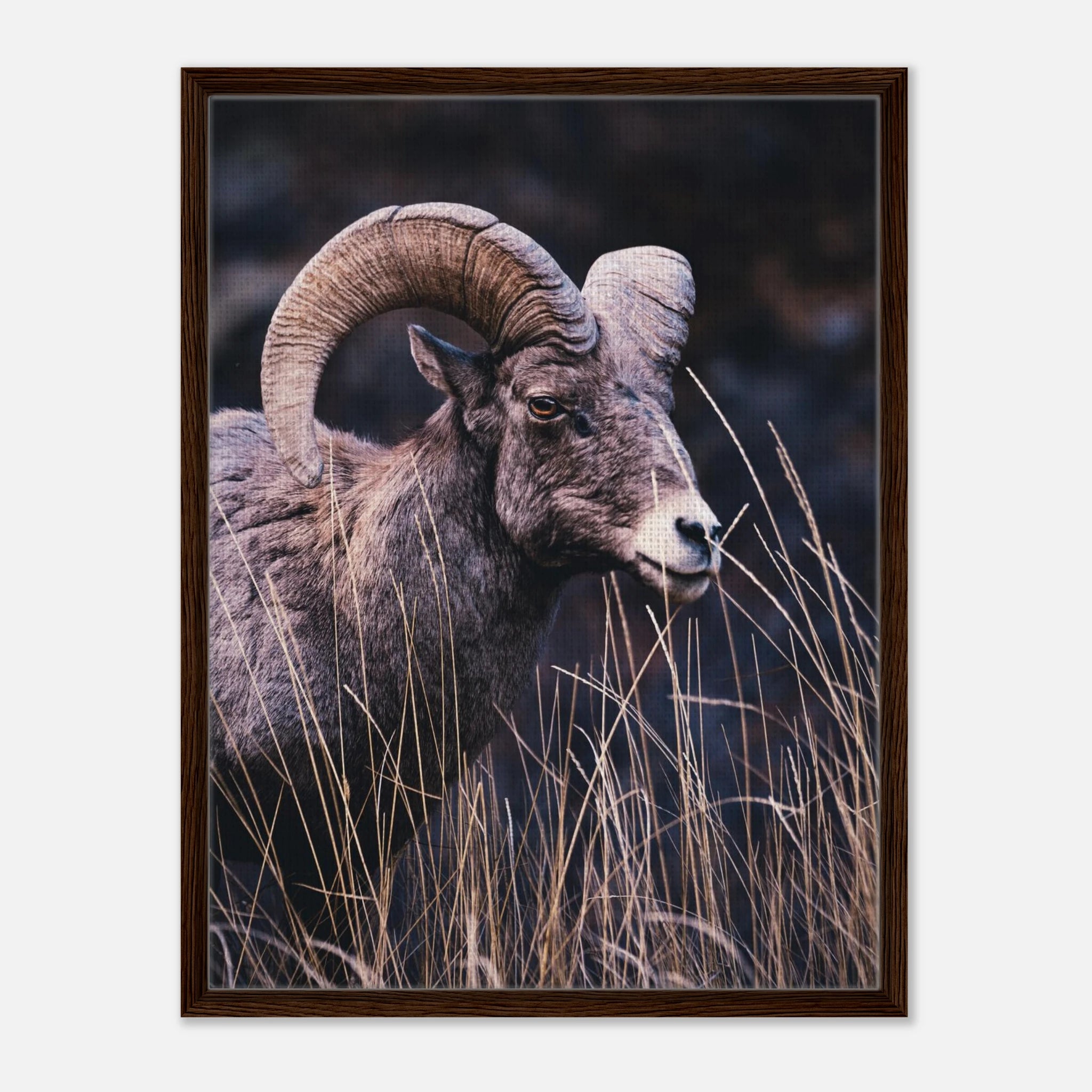 d21e9030-caa6-454b-beea-617ee0379184