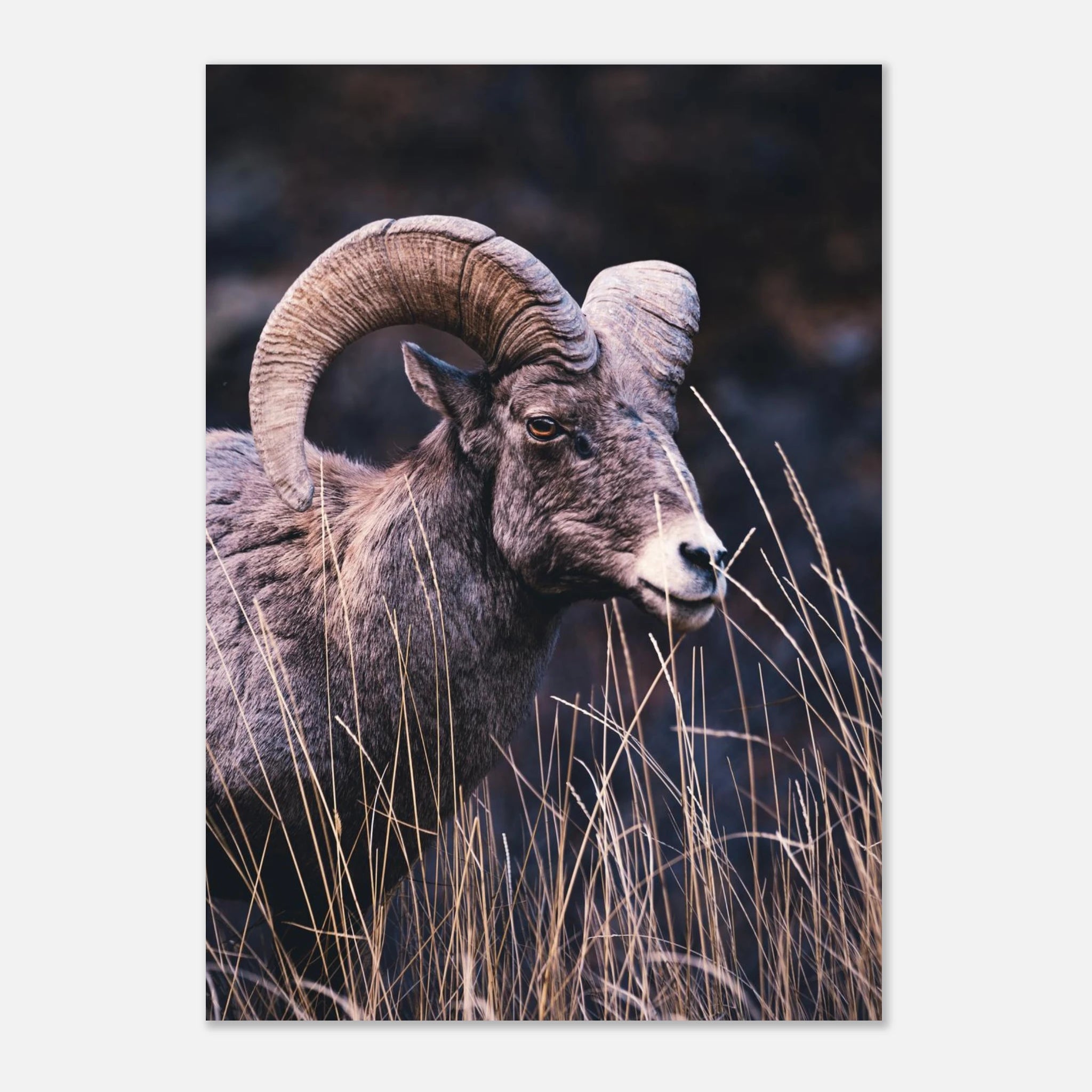 d285ee0c-4aec-4c26-aa12-ed1ac76c6764