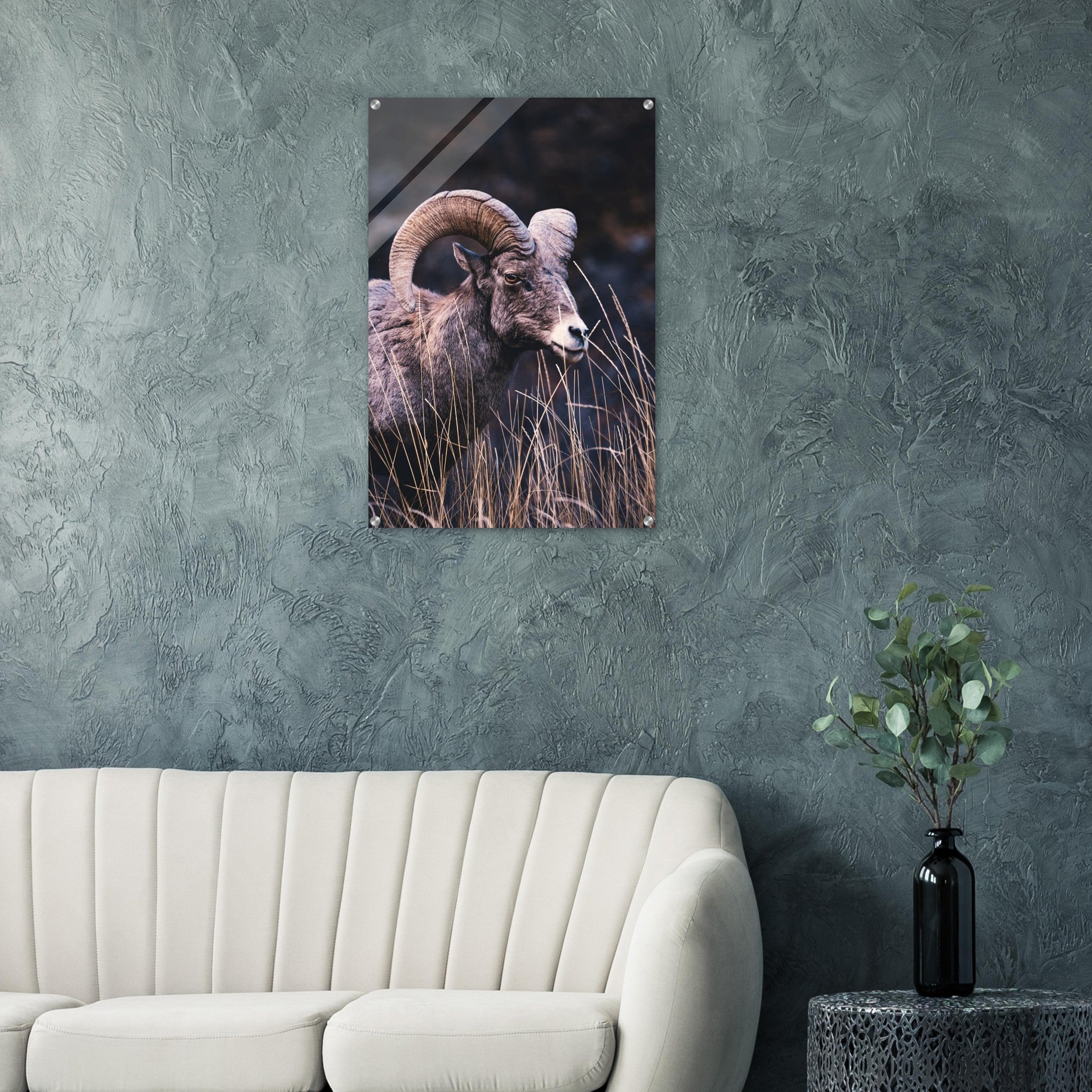 d339b75a-5cb1-4f7d-ade0-5686baee04f4