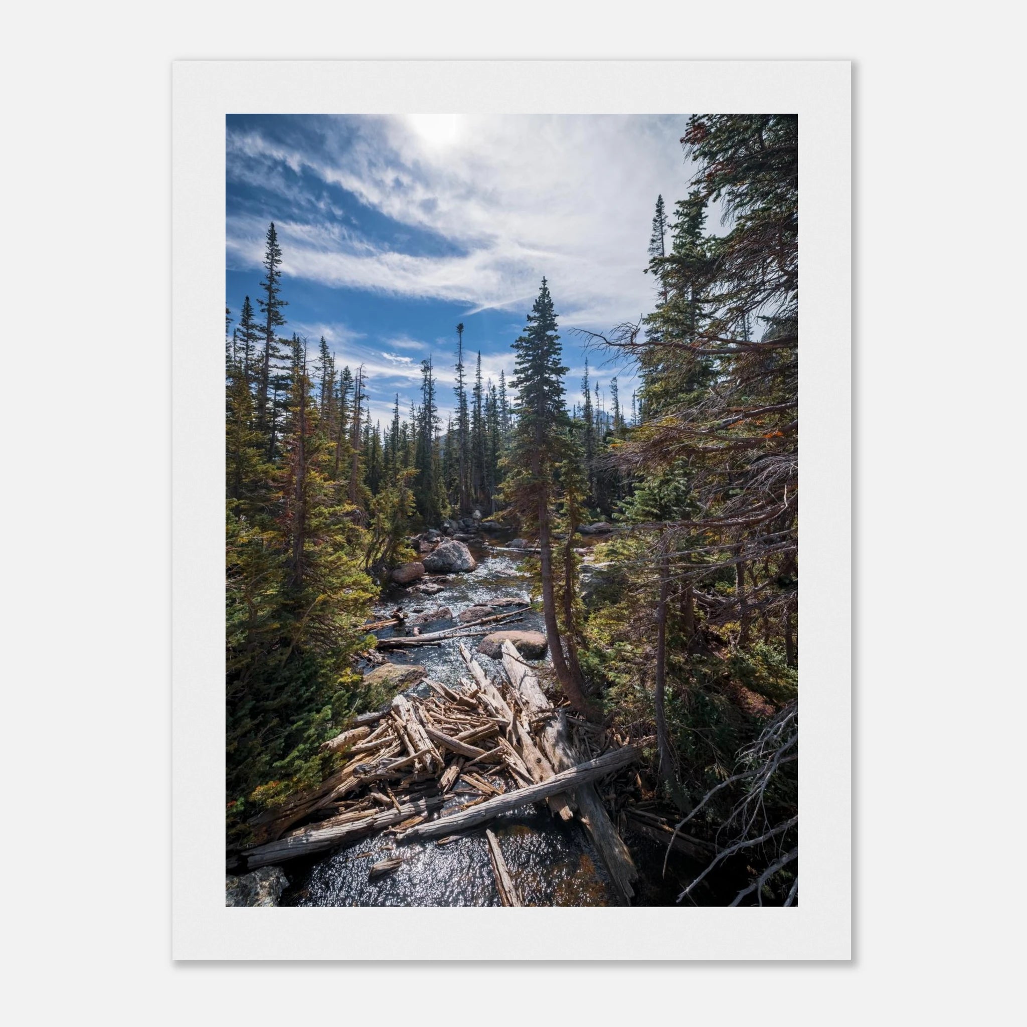 d359cf4e-6519-49f4-9d6e-29f8b08de702