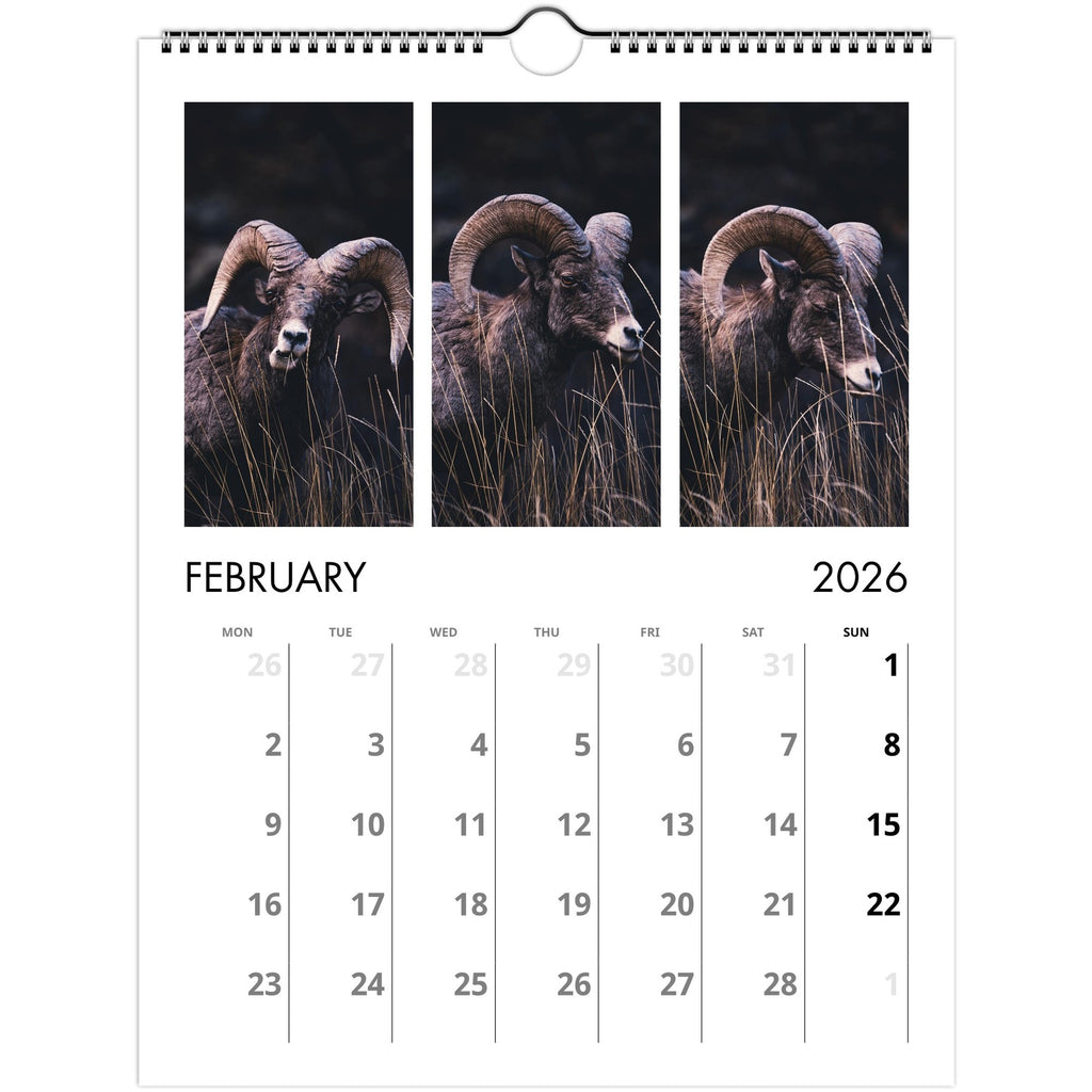 d374d896-3478-4d00-bda3-24c958378a8a