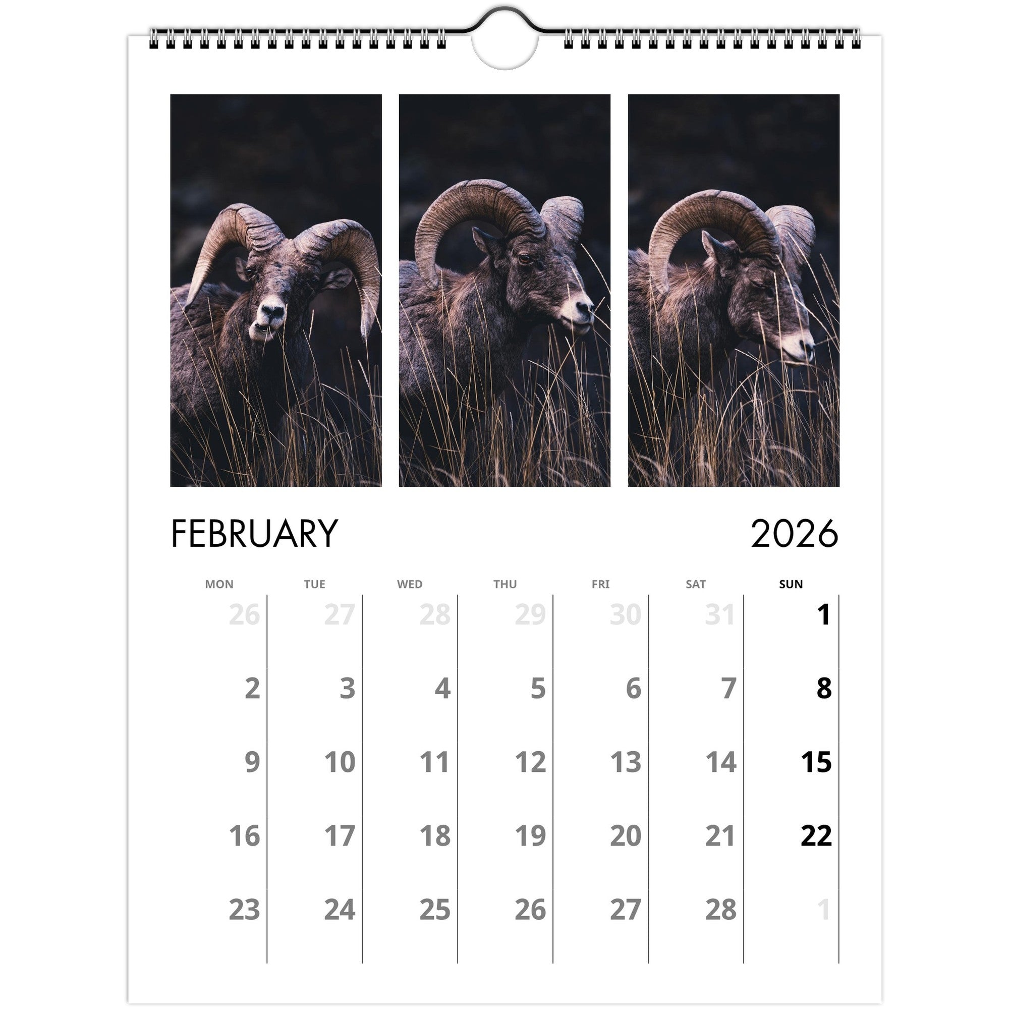 d374d896-3478-4d00-bda3-24c958378a8a