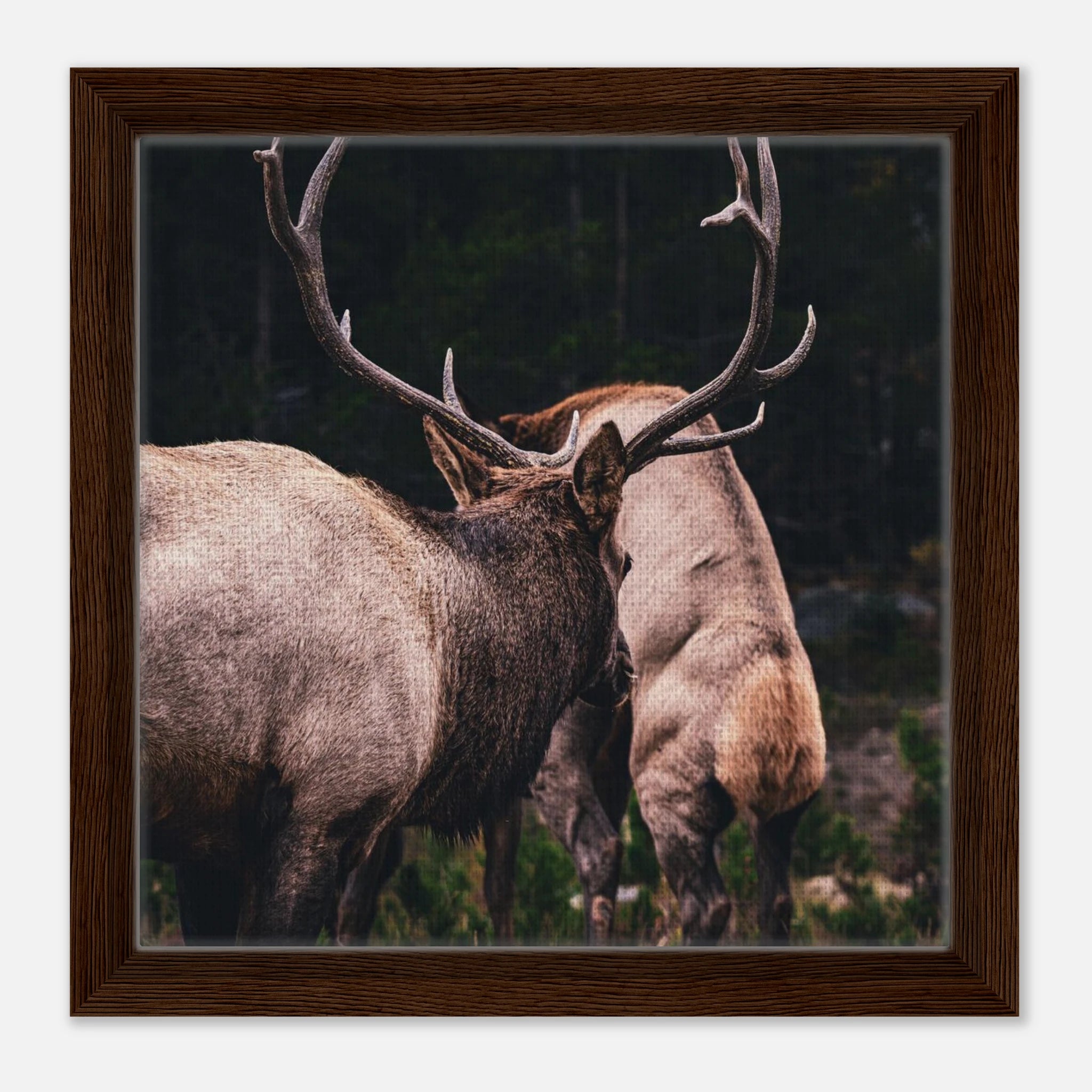 d3a79fb8-5432-421d-8ba8-ce2e0fec968e