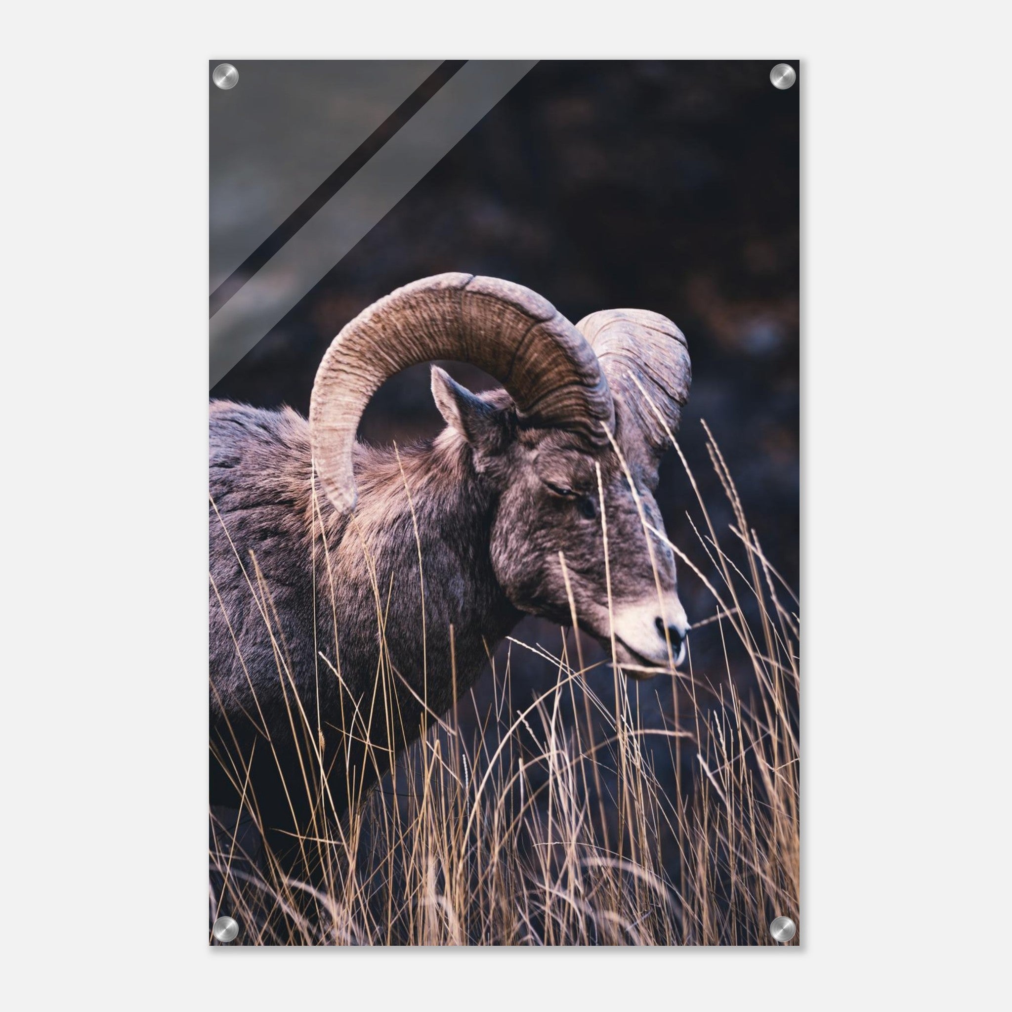 d3b8c8ff-fbc8-403b-aa09-42f05eca2873