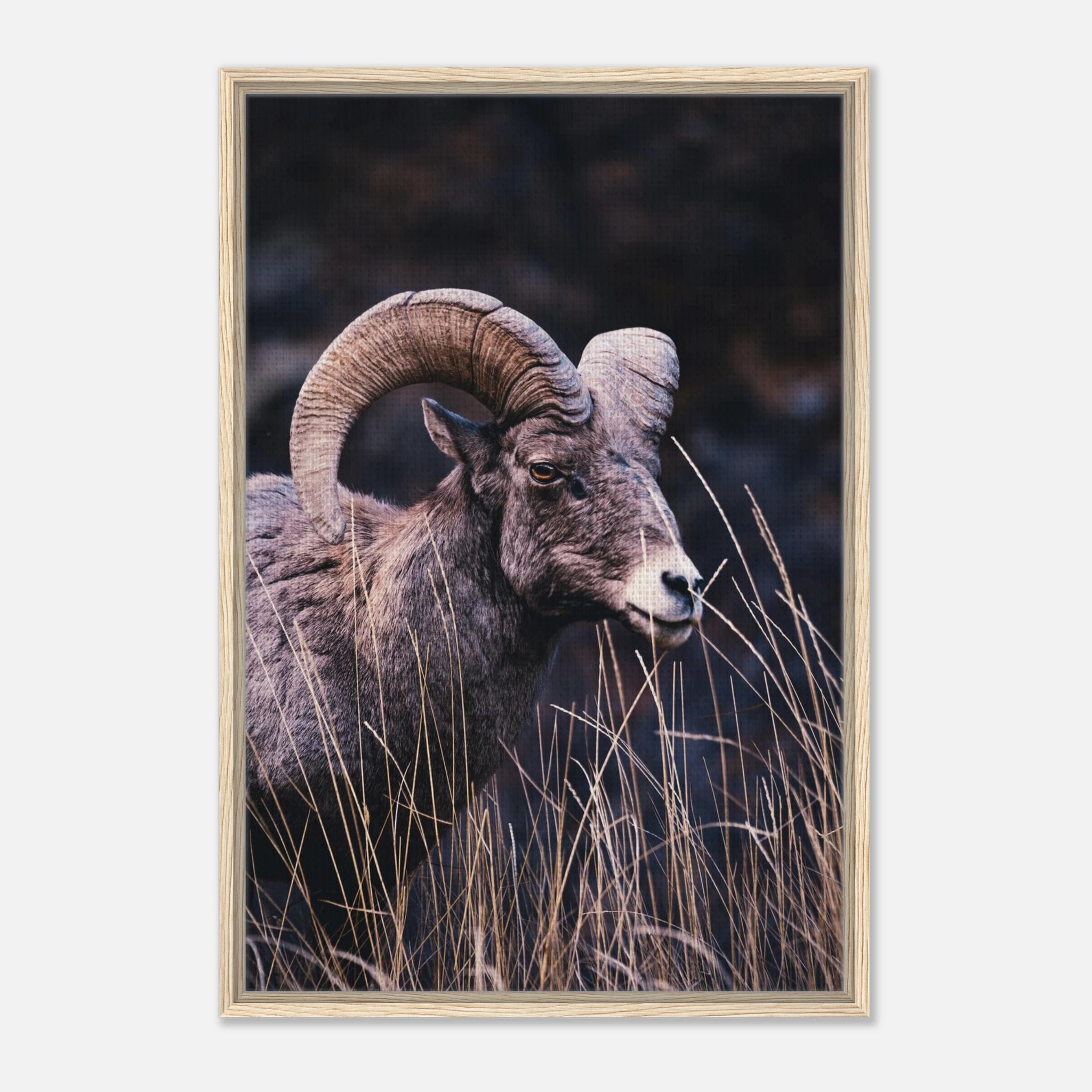 d3bf83fa-e7c0-42af-b127-4fe6296a4761