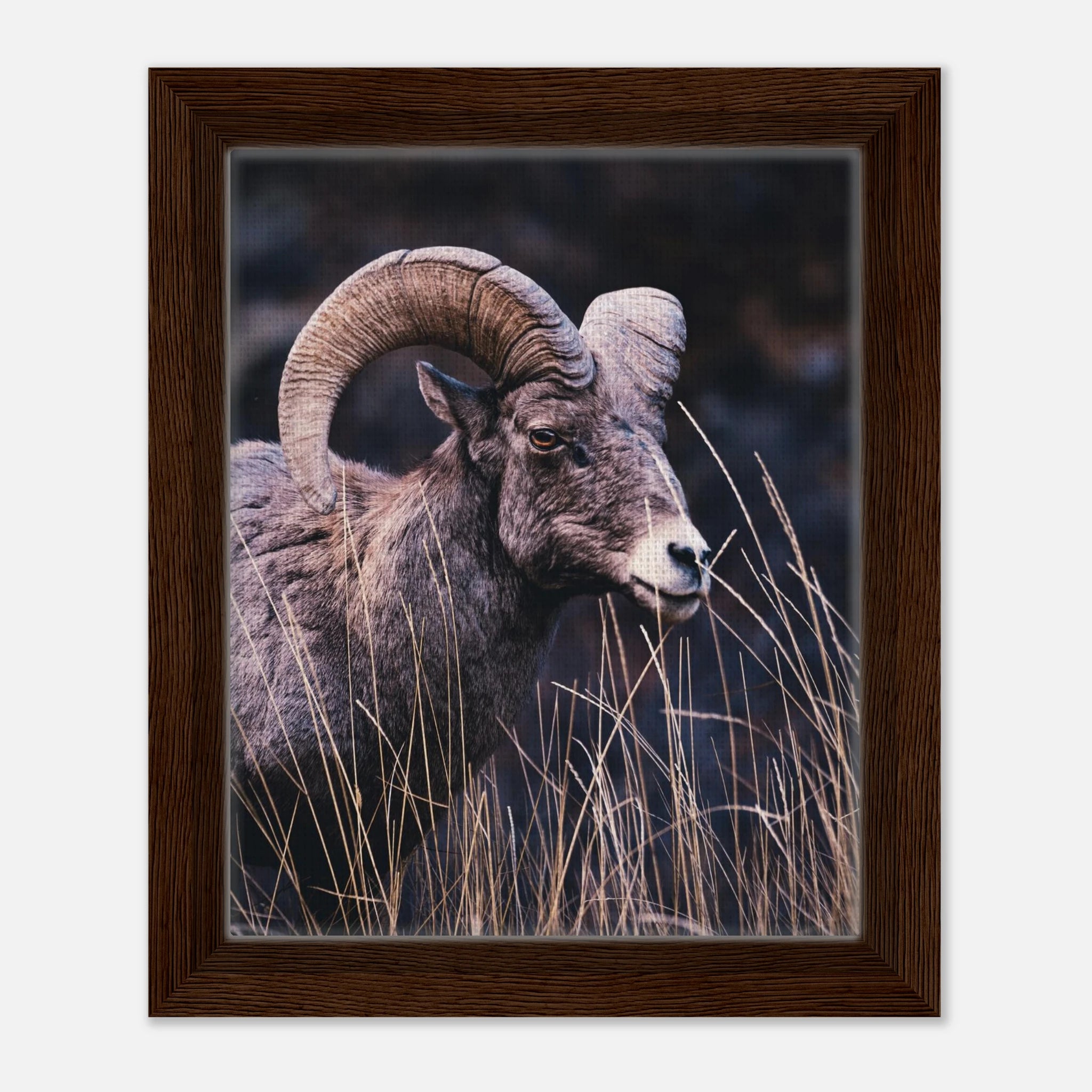 d41d29fc-ea7f-4424-a816-06d4c37b91c8