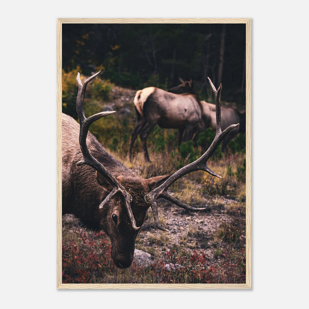 d42aad5d-83f1-4624-905d-99a47401177d