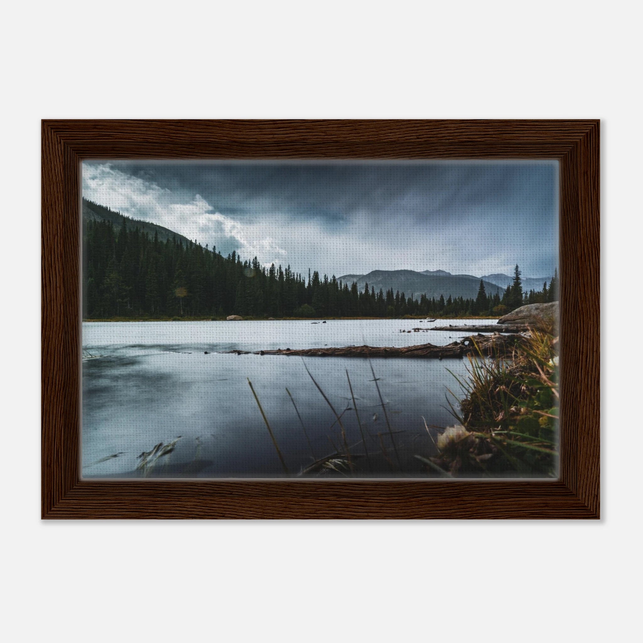 d55f4643-7f43-4735-ae43-9949811fa664