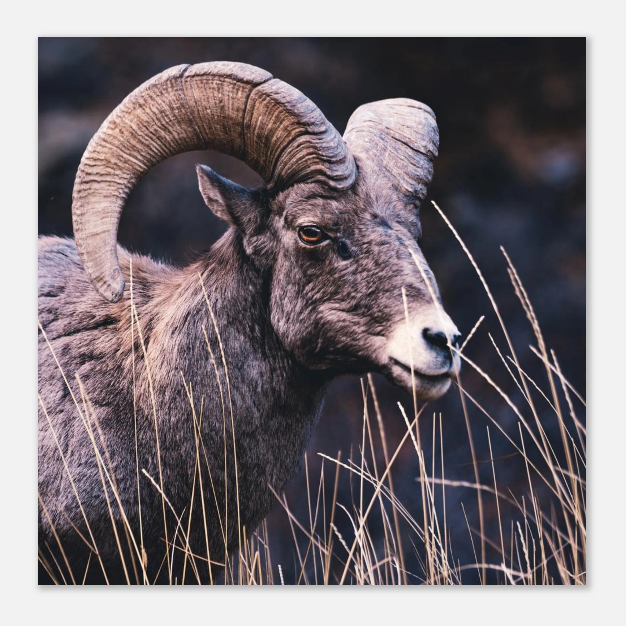 d58a030c-a29e-4851-986d-e617e0ffddcf