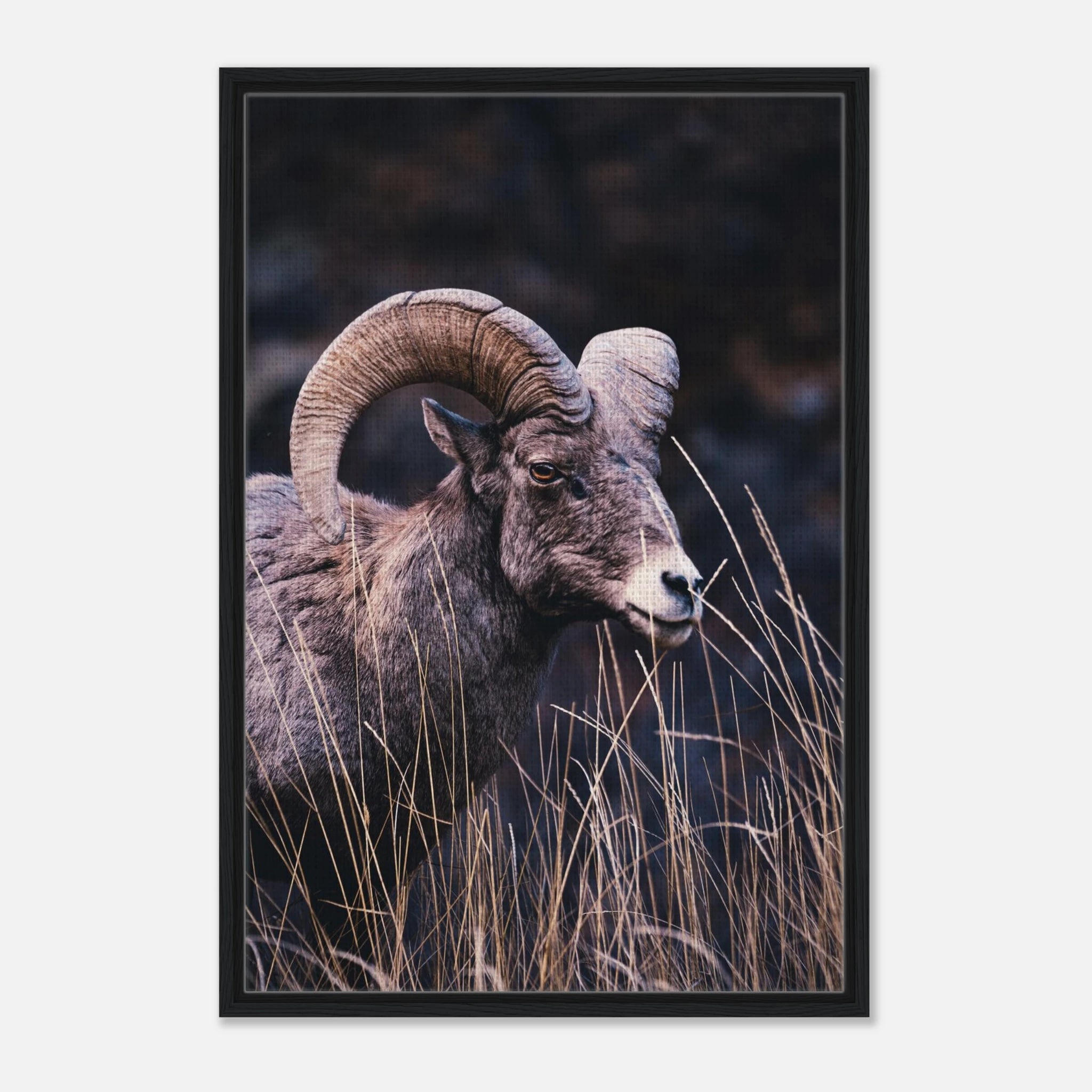 d5a75018-6039-4902-8315-c42b74c0b9a8