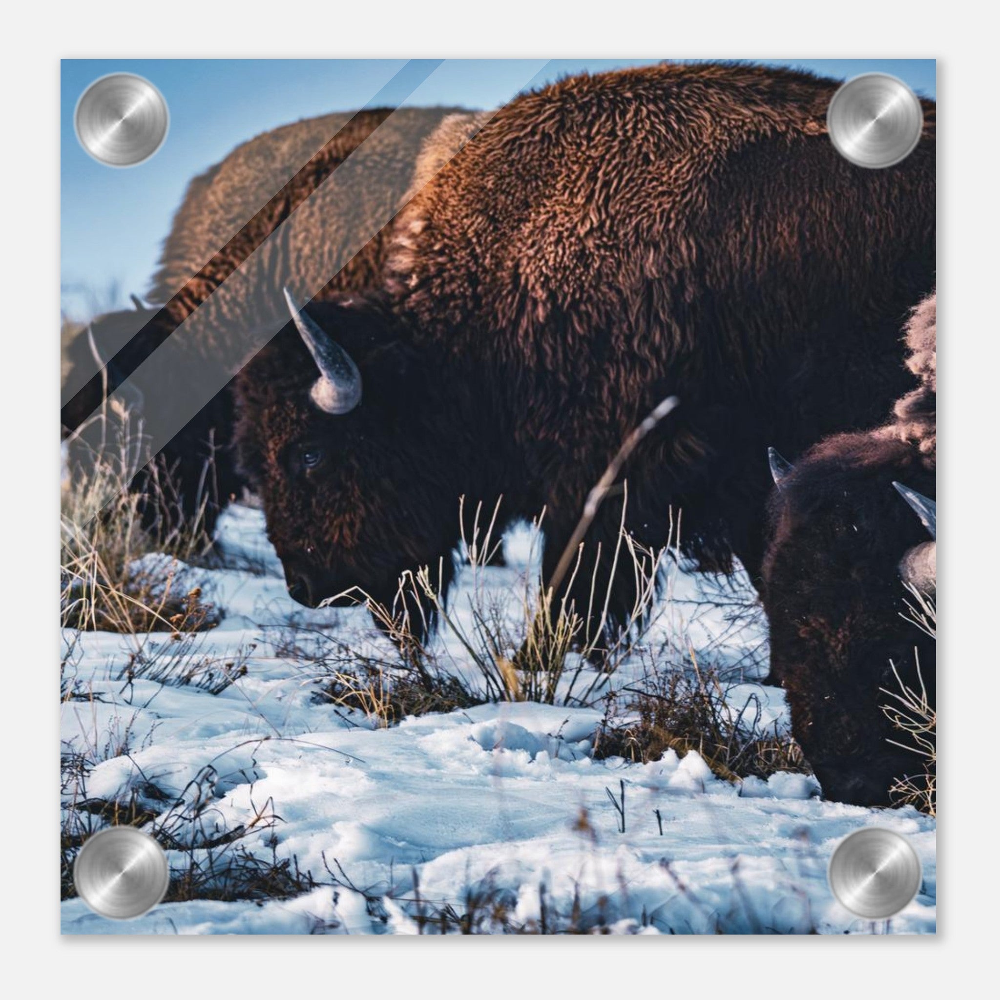 d5d86a07-318d-48d5-8afd-6659ec778103